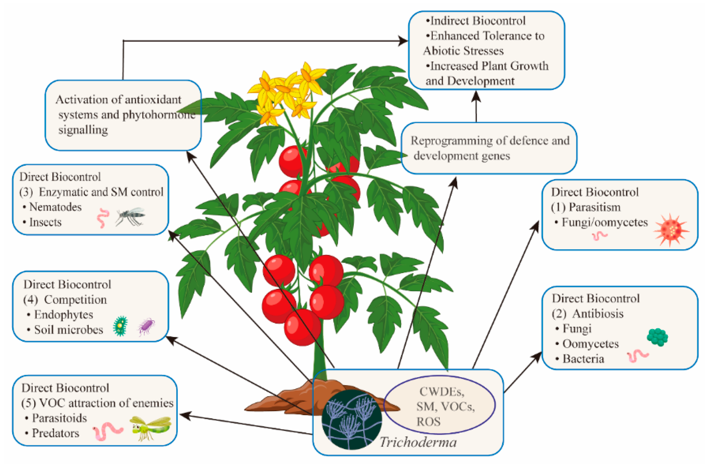 Microorganisms 13 01840 g002