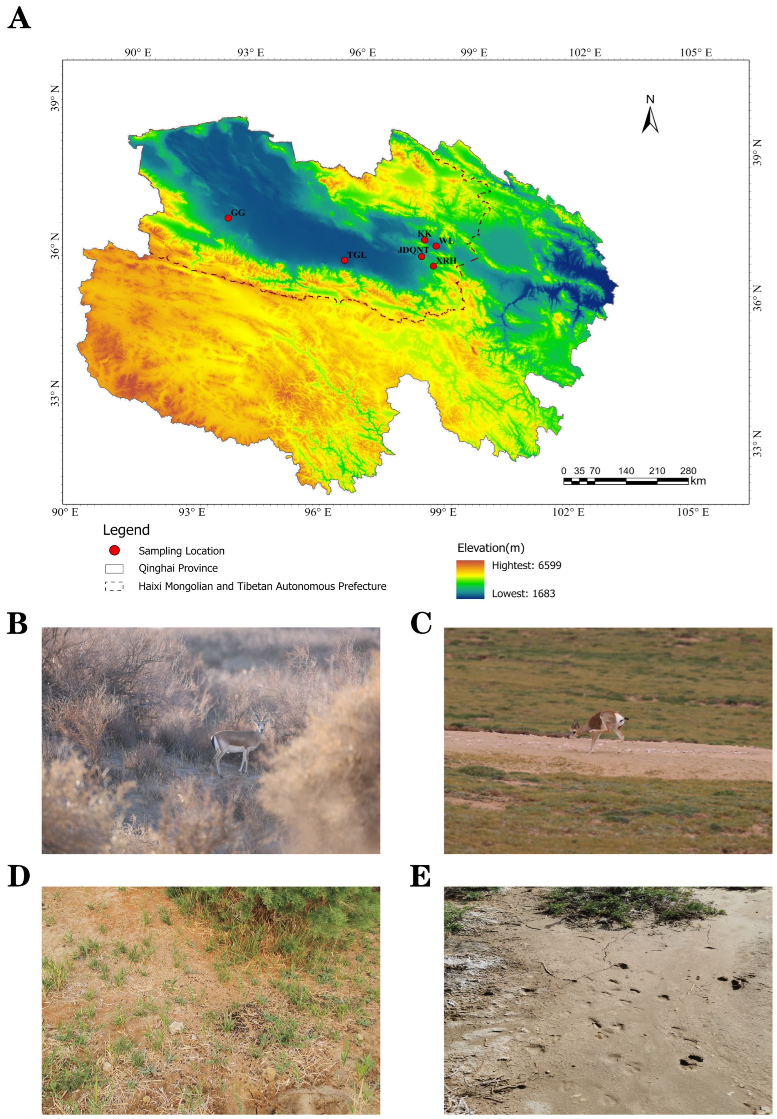 Microorganisms 13 01842 g001