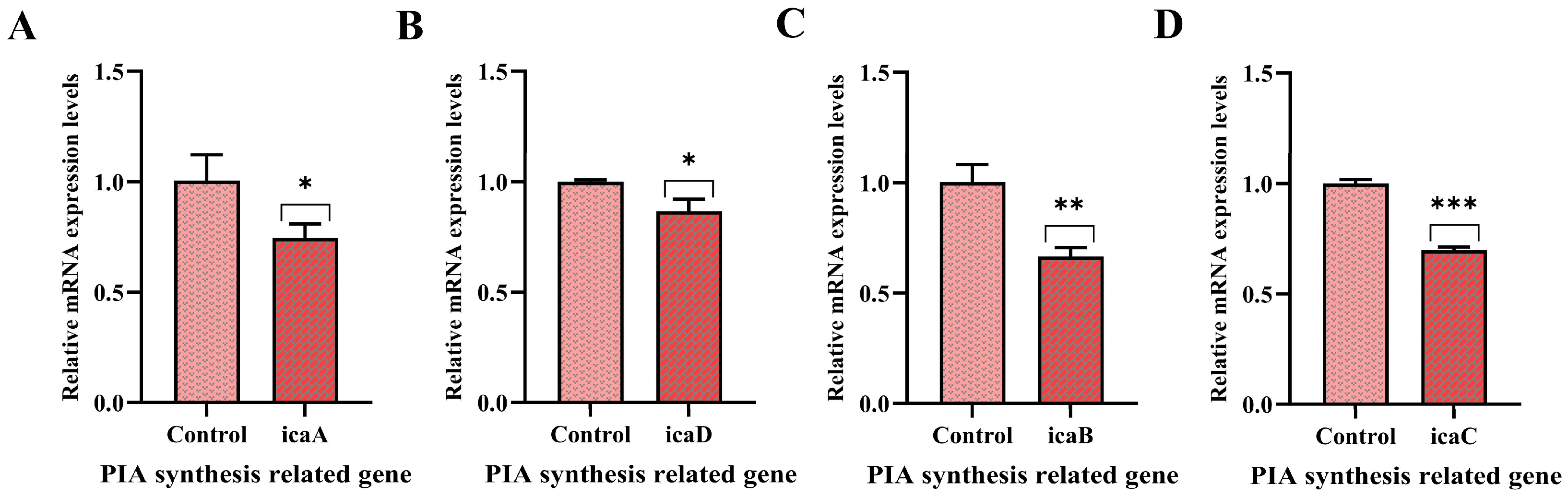 Microorganisms 13 01844 g007 Microorganisms 13 01844 g007