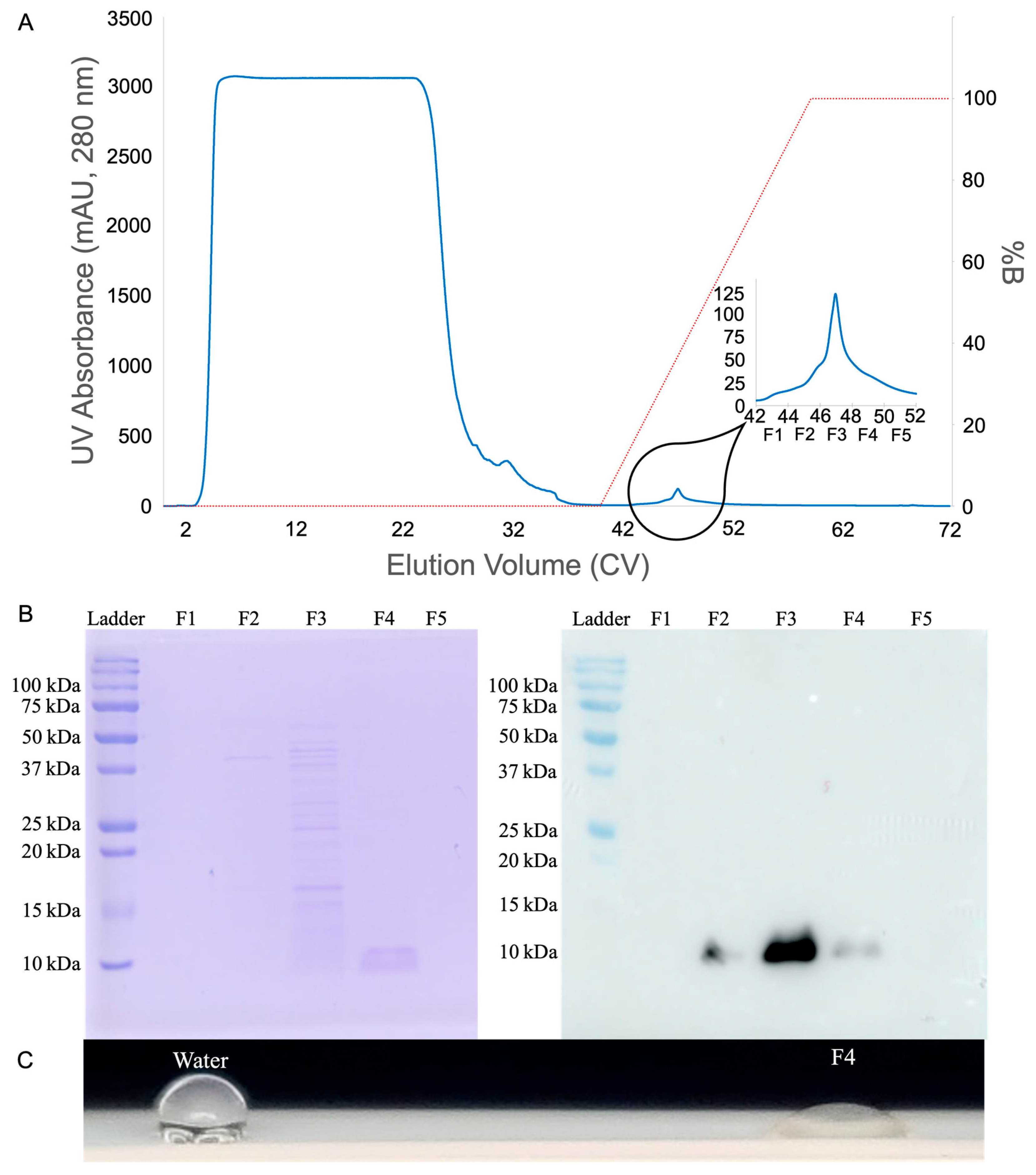 Microorganisms 13 01845 g005 Microorganisms 13 01845 g005