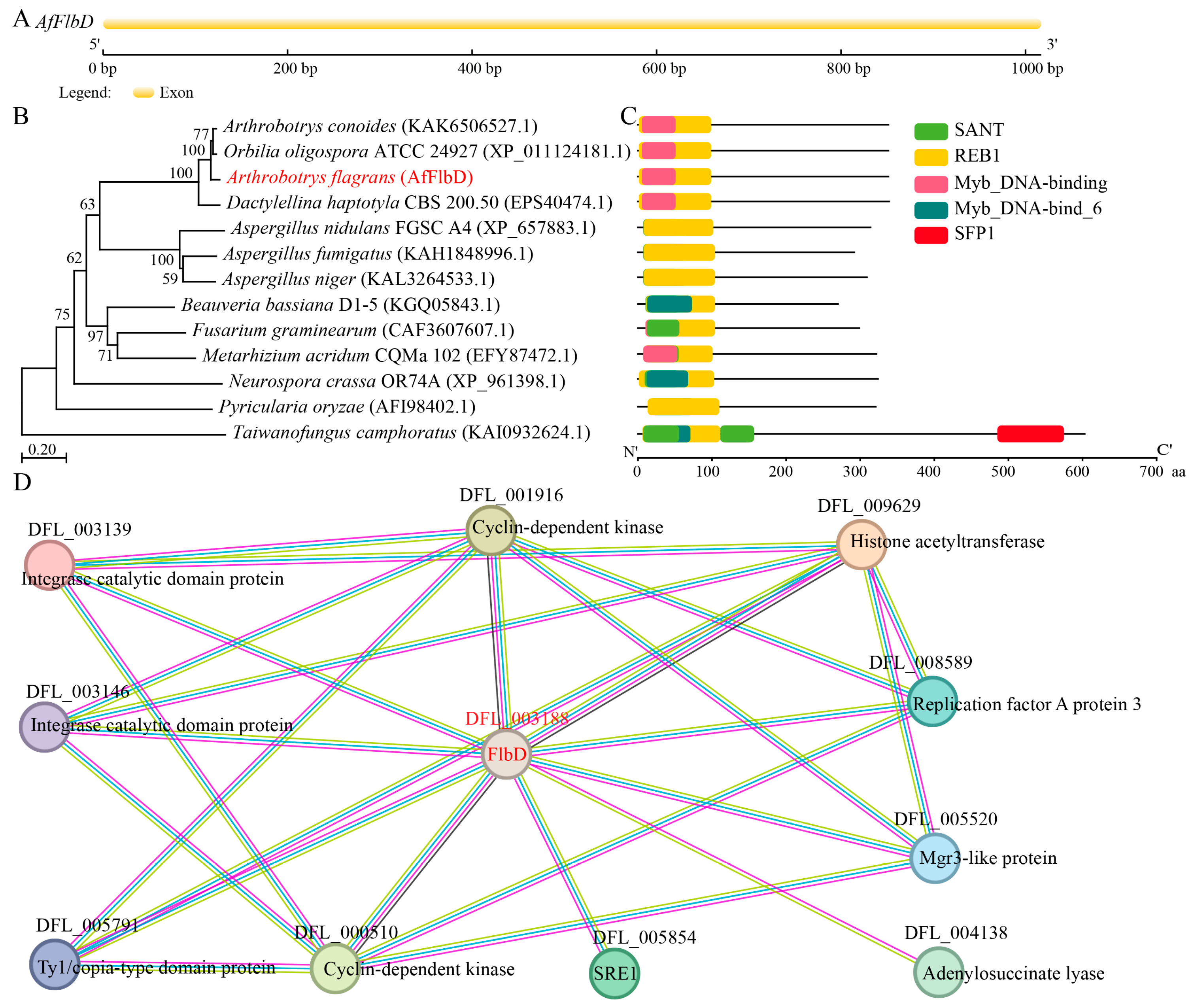 Microorganisms 13 01847 g001 Microorganisms 13 01847 g001