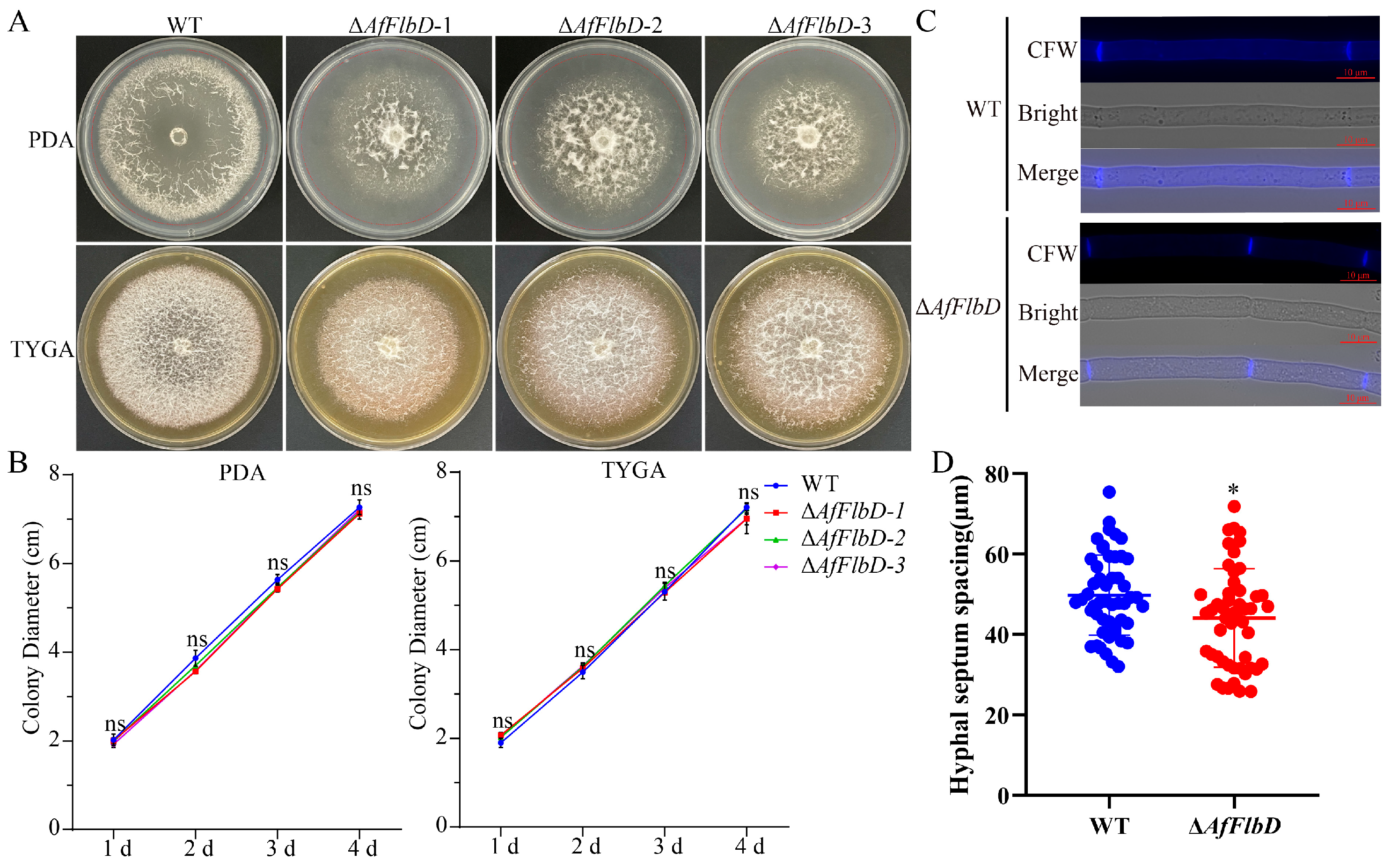 Microorganisms 13 01847 g003 Microorganisms 13 01847 g003