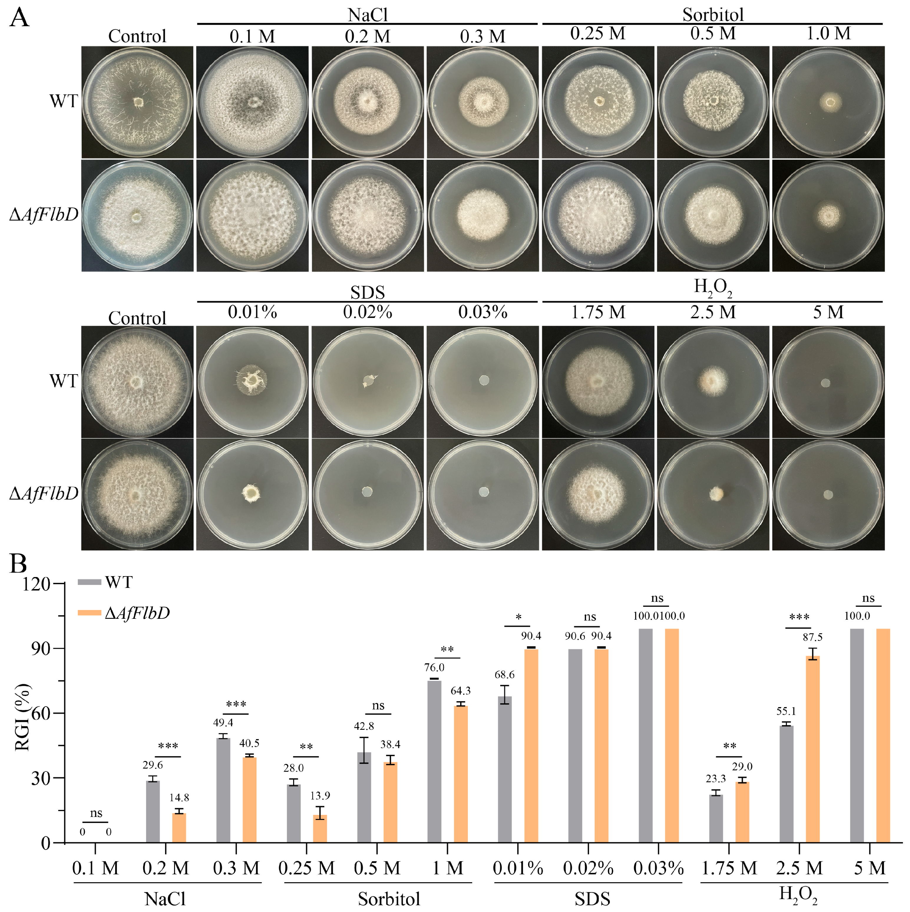 Microorganisms 13 01847 g004 Microorganisms 13 01847 g004