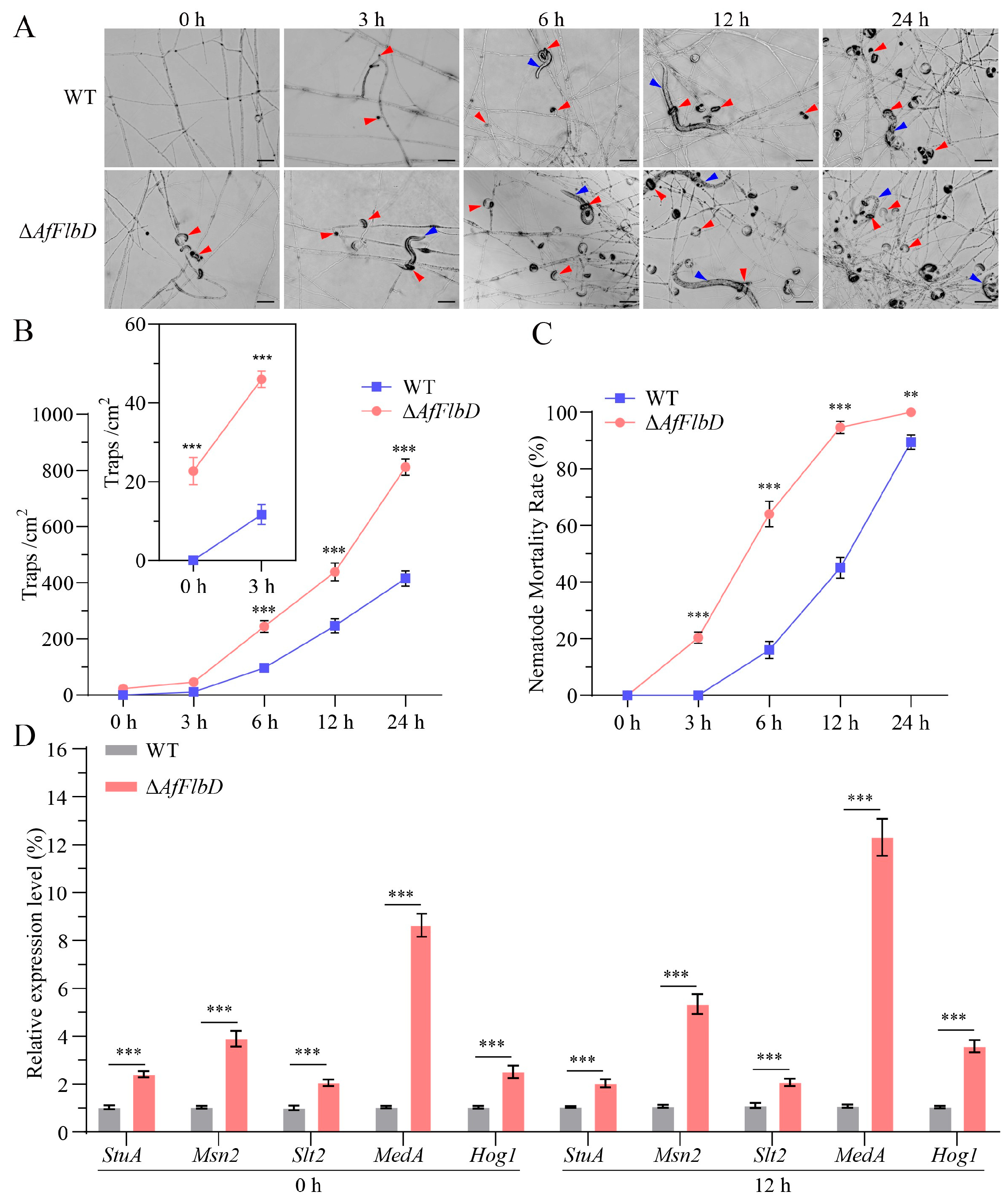 Microorganisms 13 01847 g005 Microorganisms 13 01847 g005