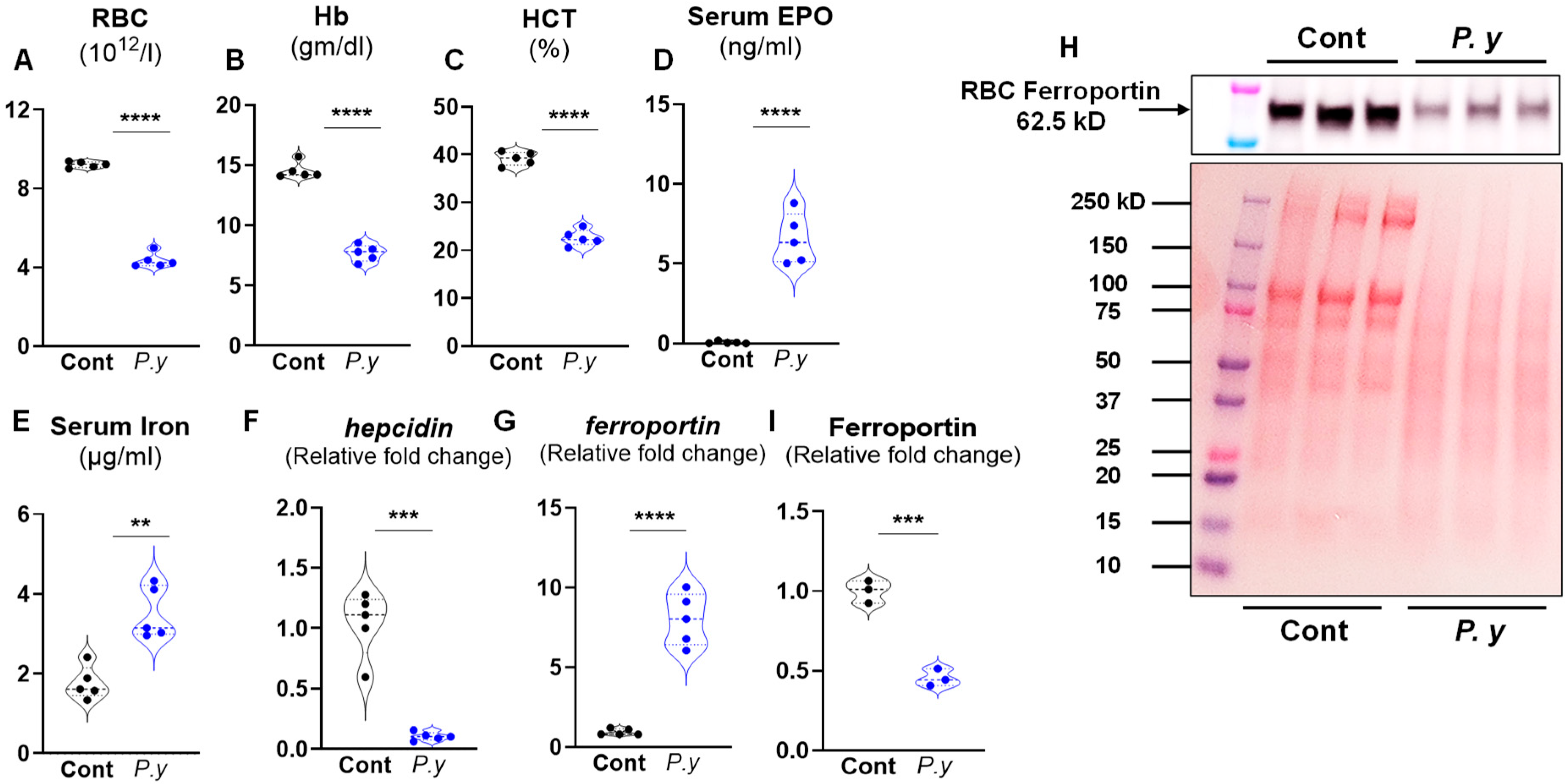 Microorganisms 13 01859 g001 Microorganisms 13 01859 g001