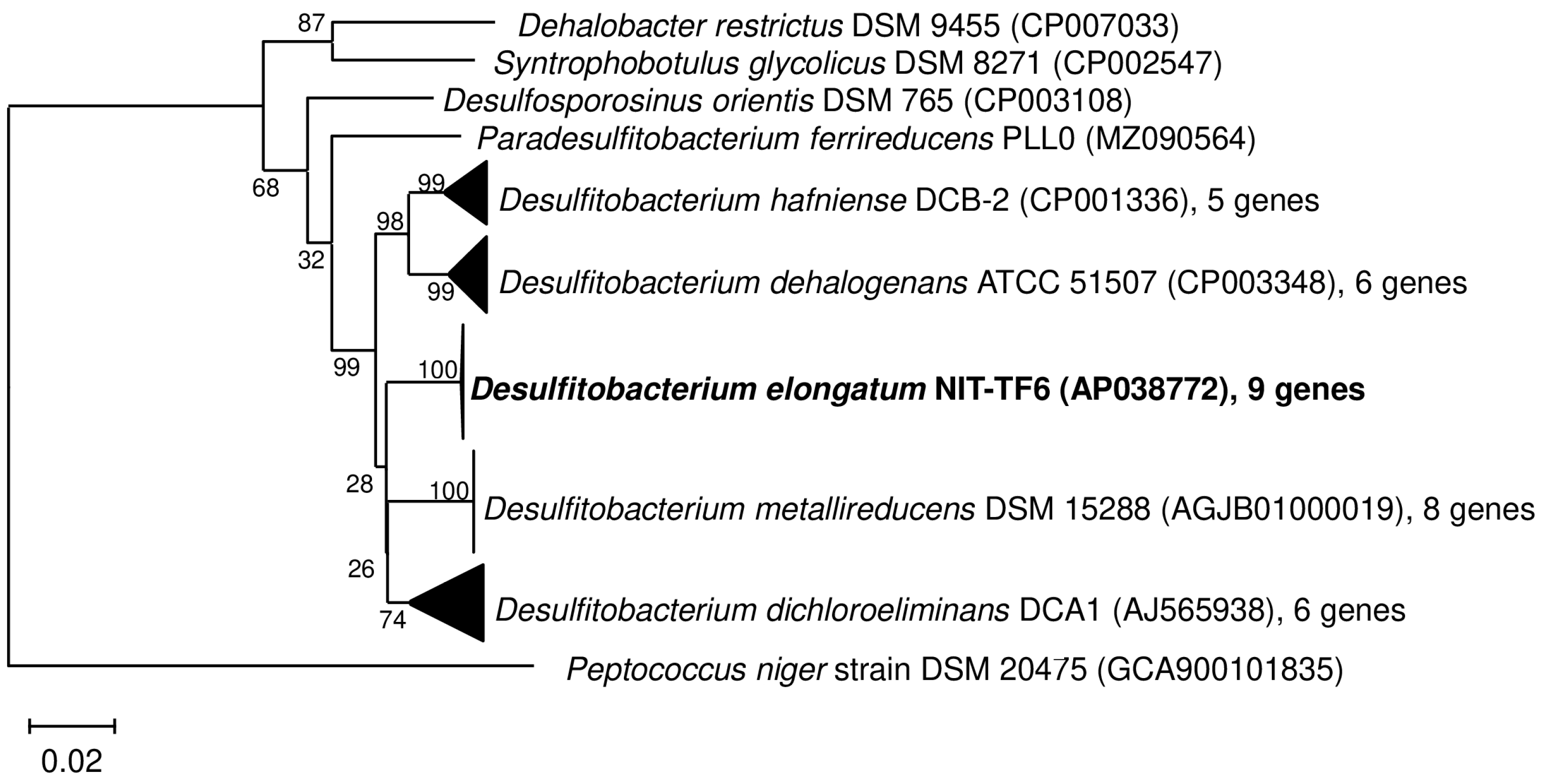 Microorganisms 13 01863 g002