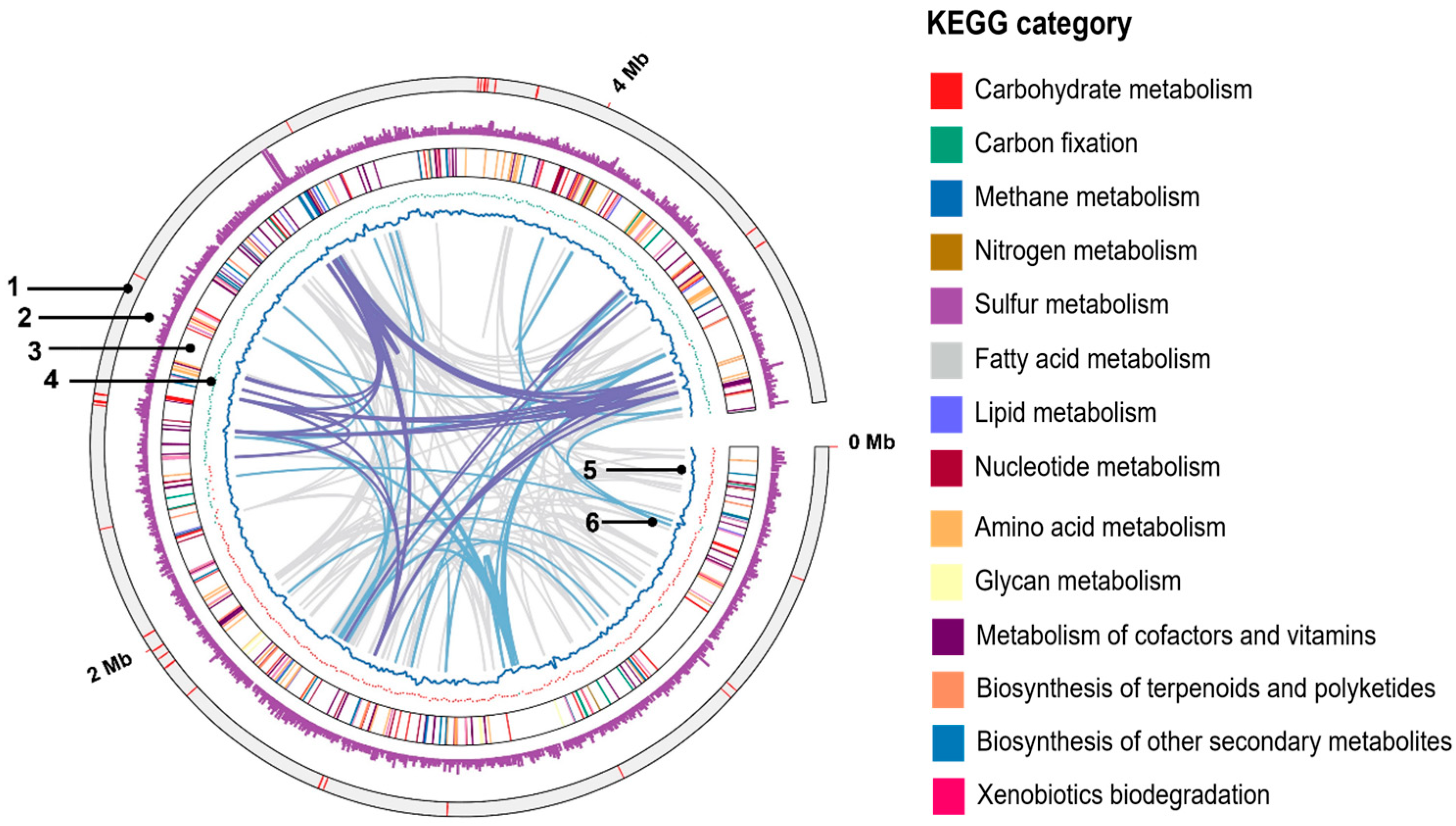 Microorganisms 13 01863 g003