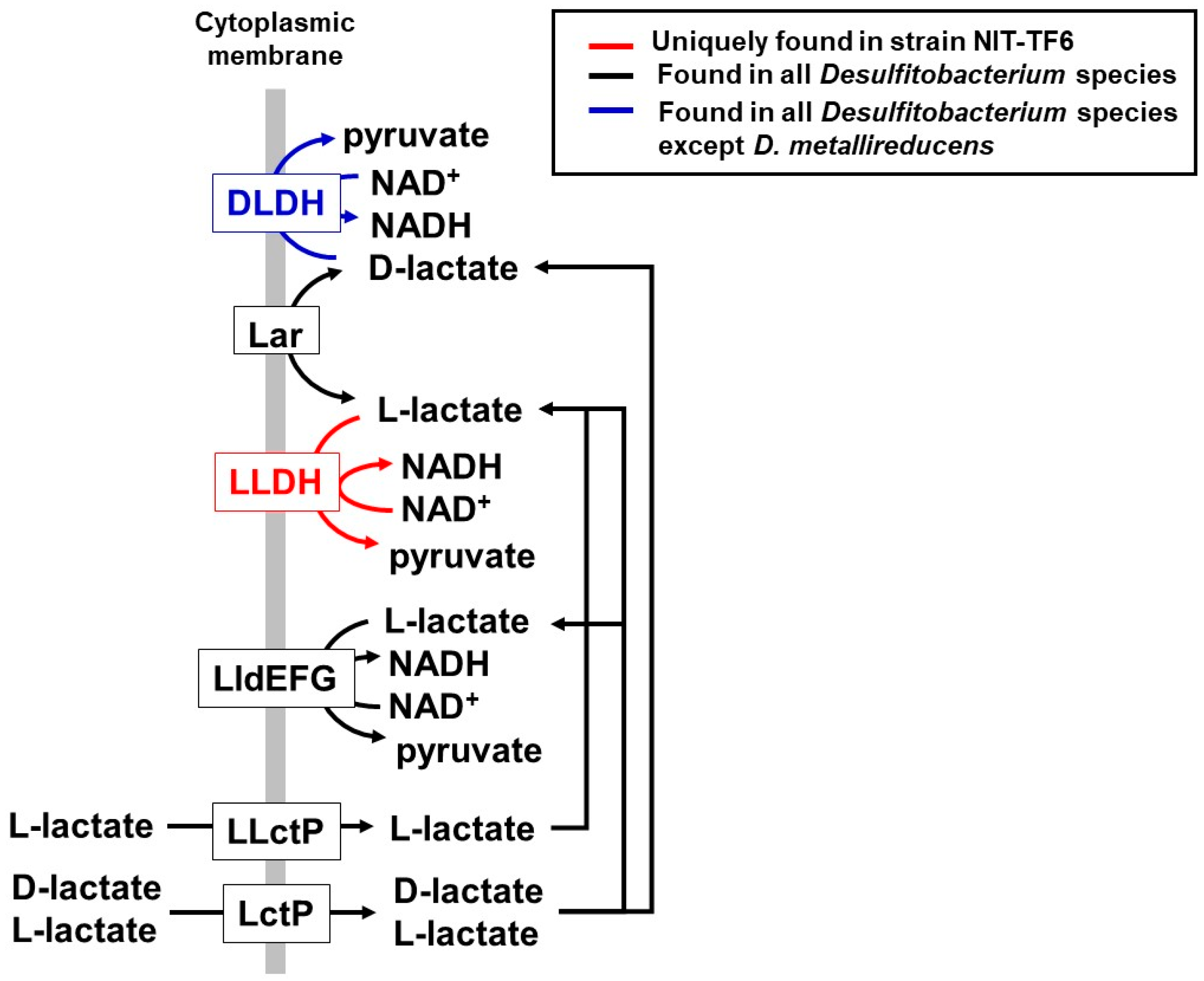 Microorganisms 13 01863 g004