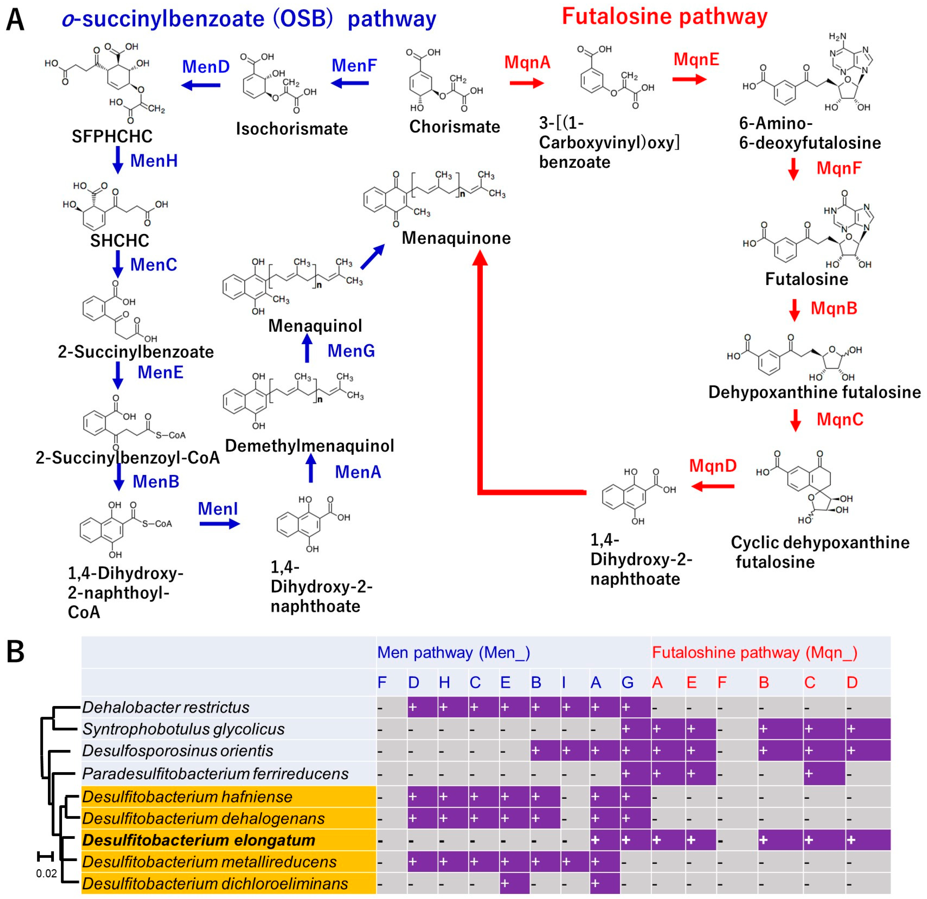 Microorganisms 13 01863 g005
