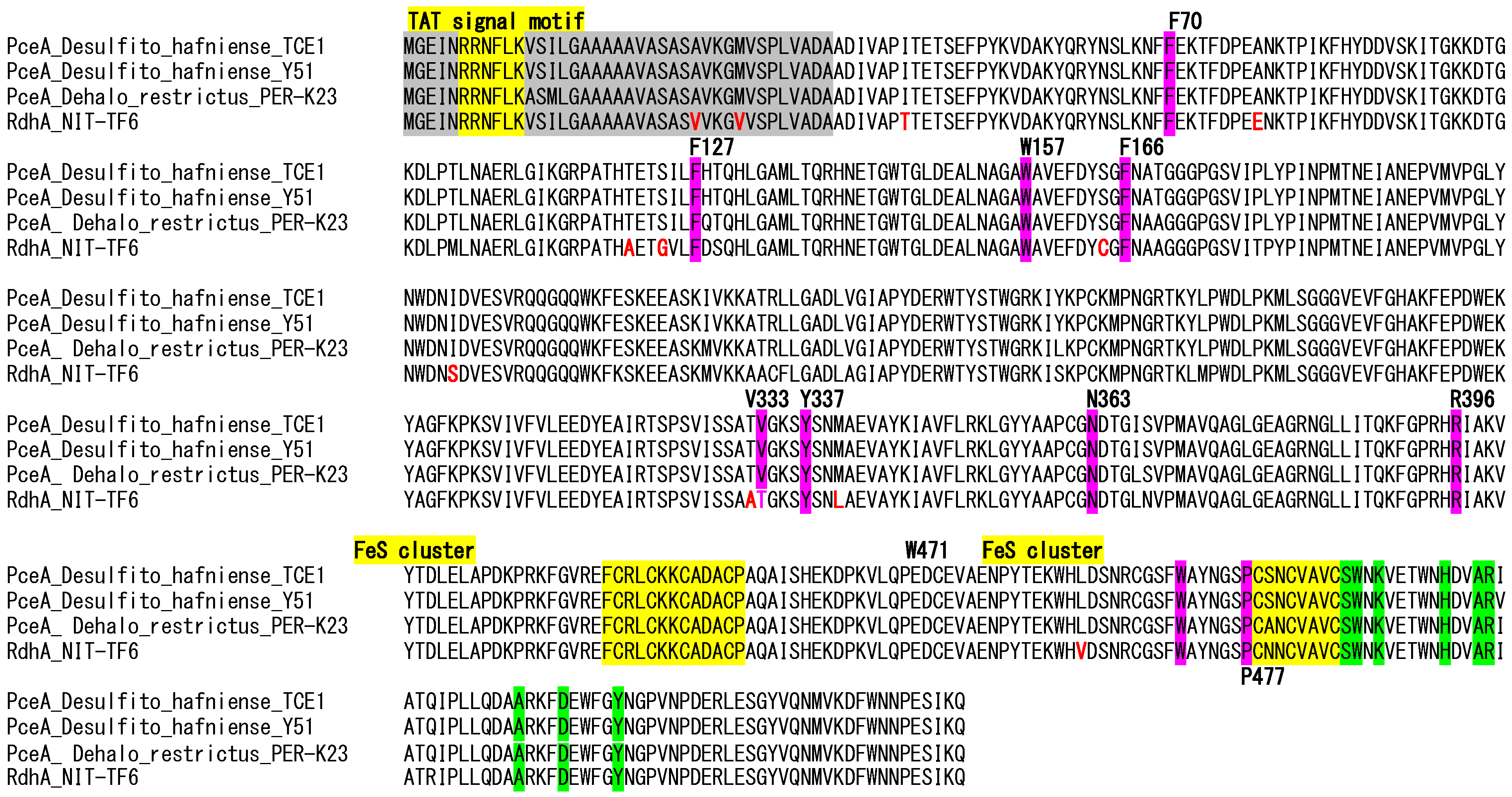 Microorganisms 13 01863 g006