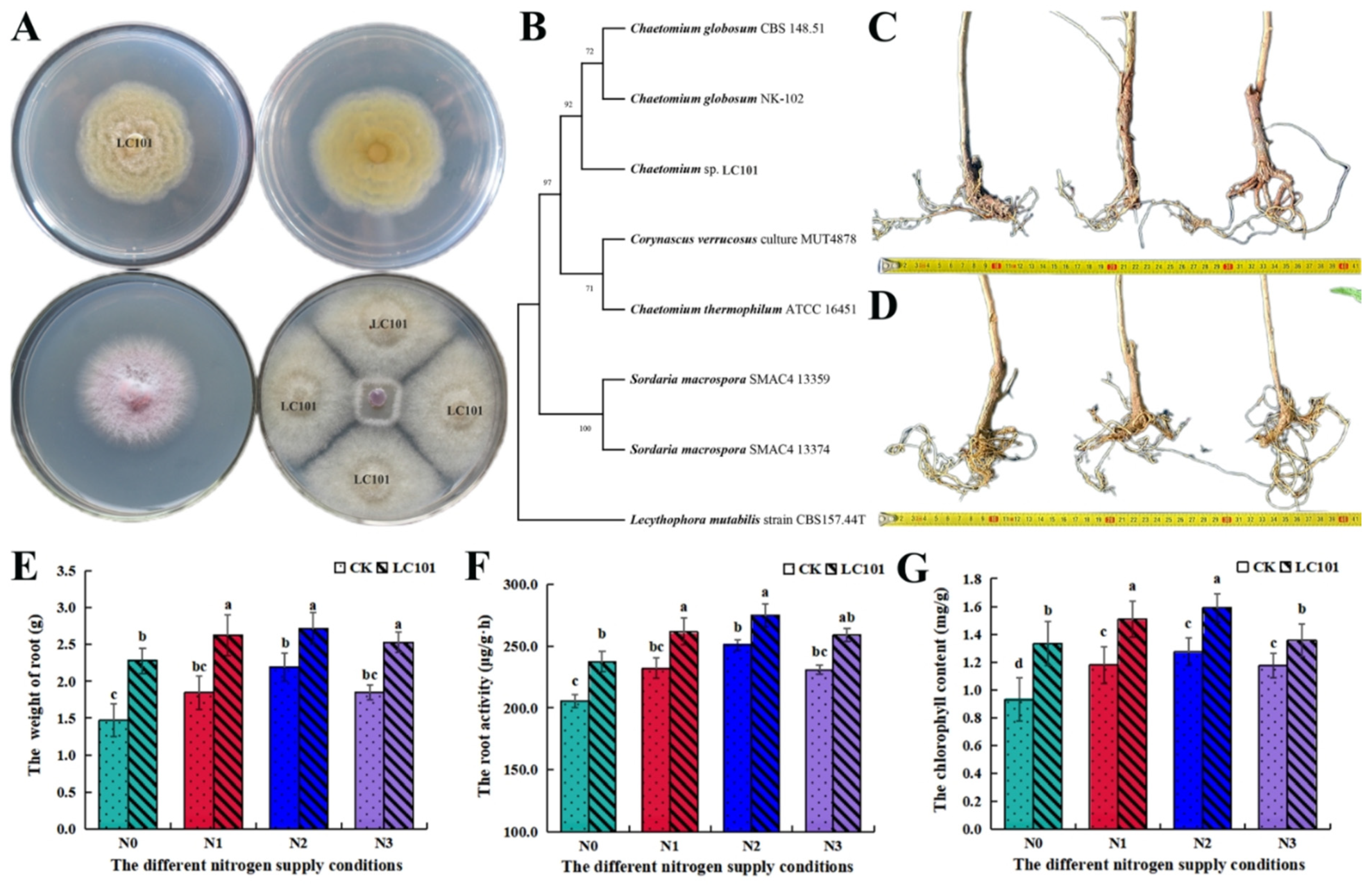 Microorganisms 13 01864 g005