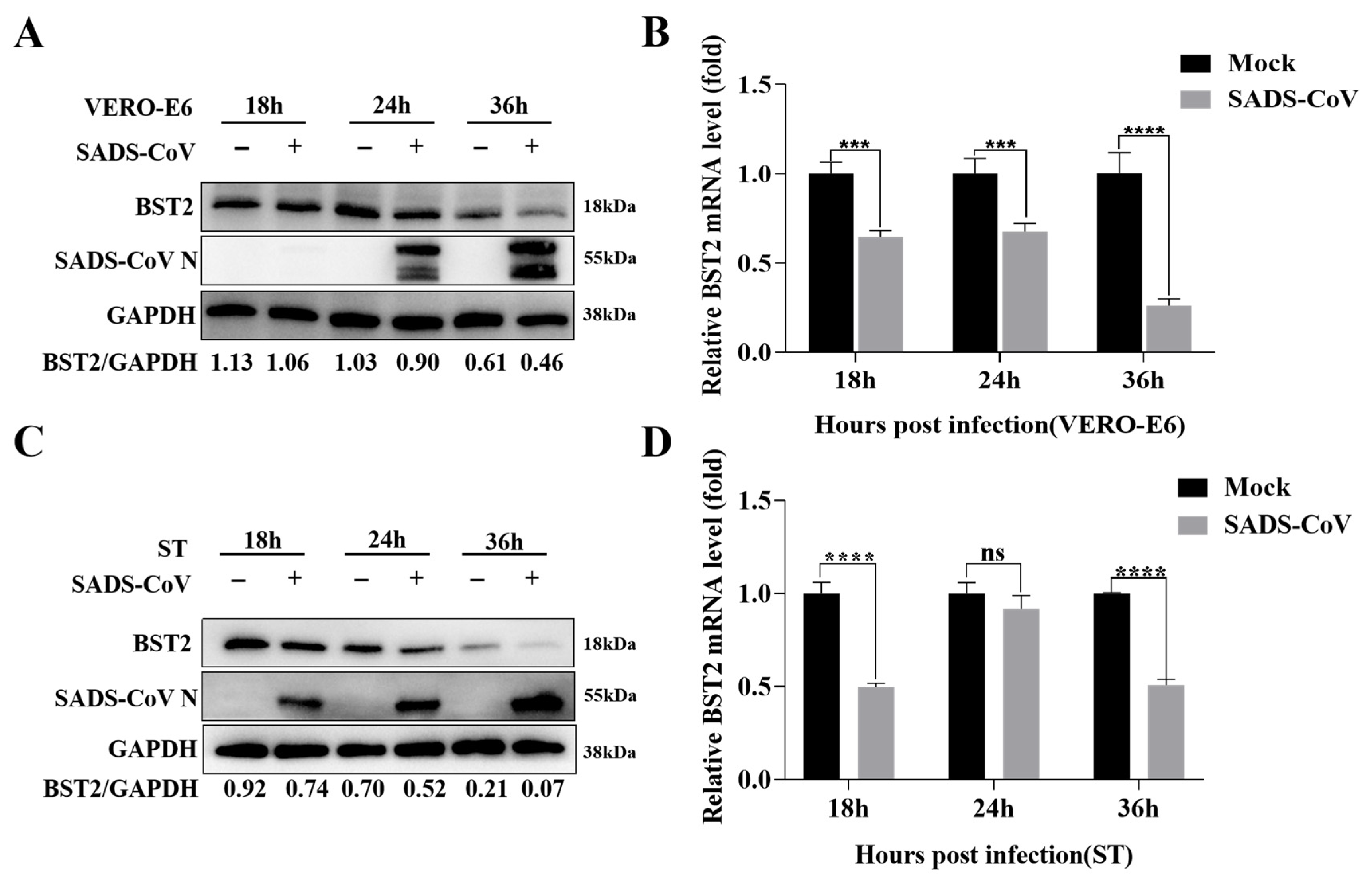 Microorganisms 13 01865 g001