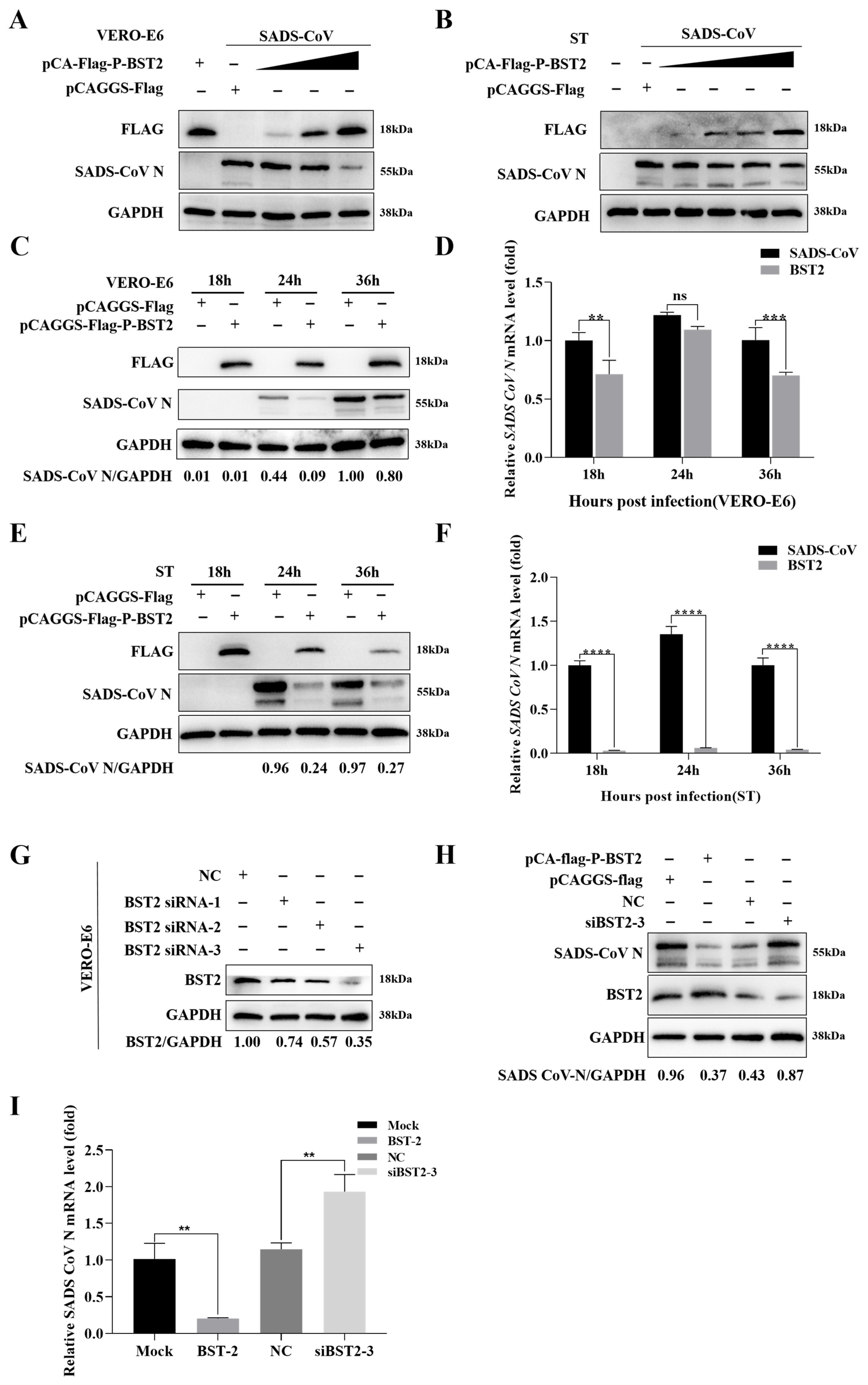 Microorganisms 13 01865 g002