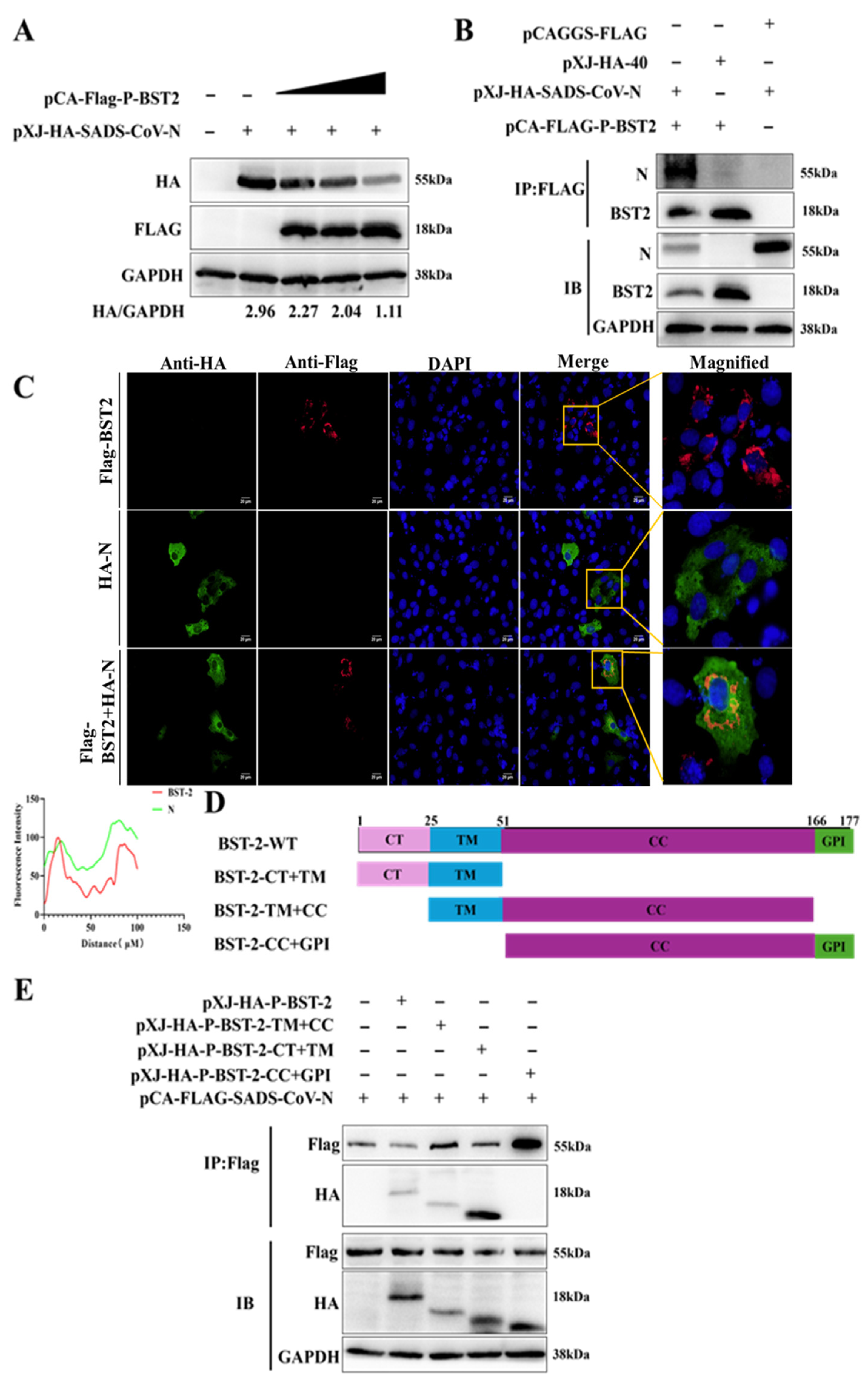 Microorganisms 13 01865 g003
