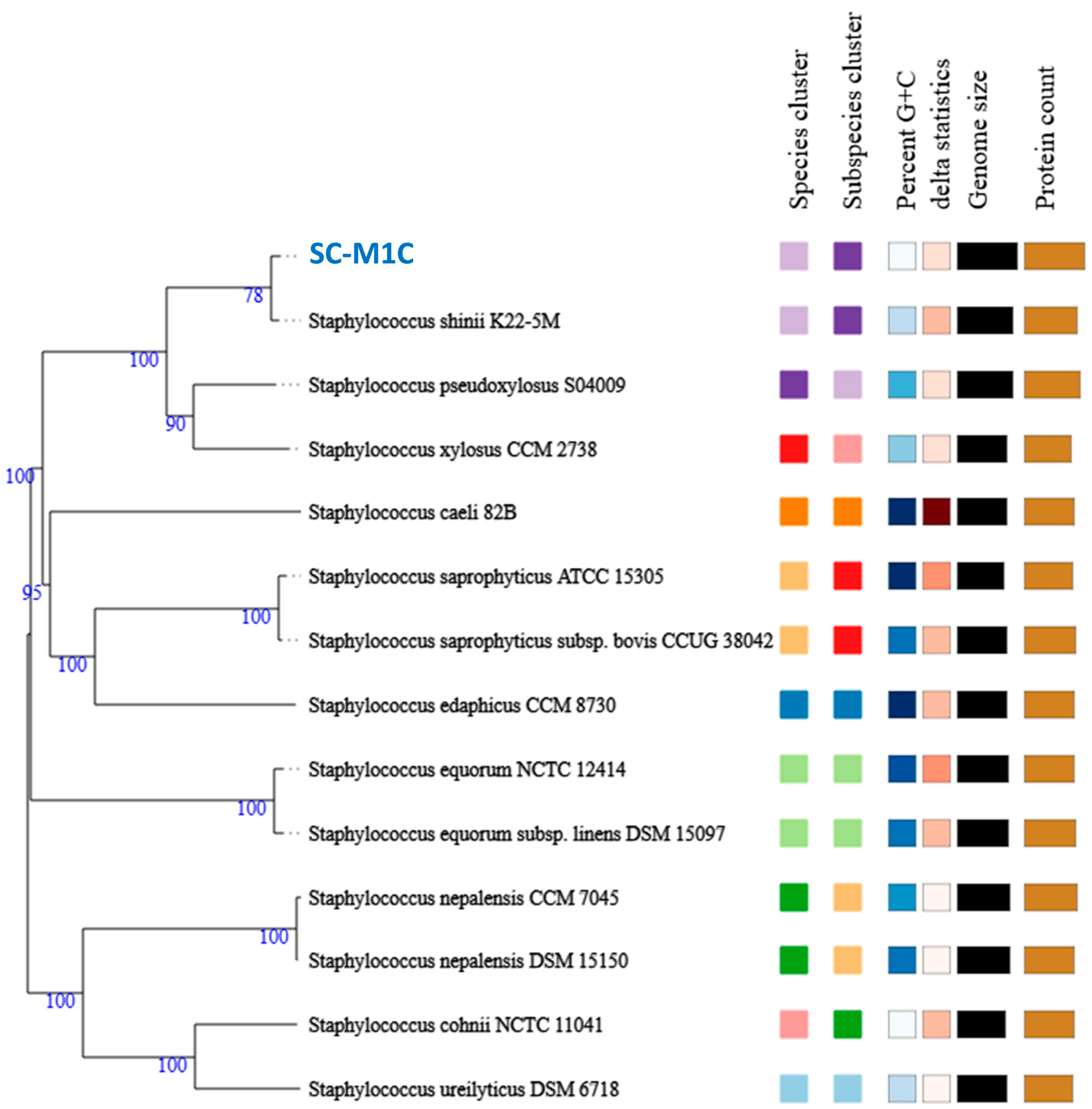 Microorganisms 13 01866 g003