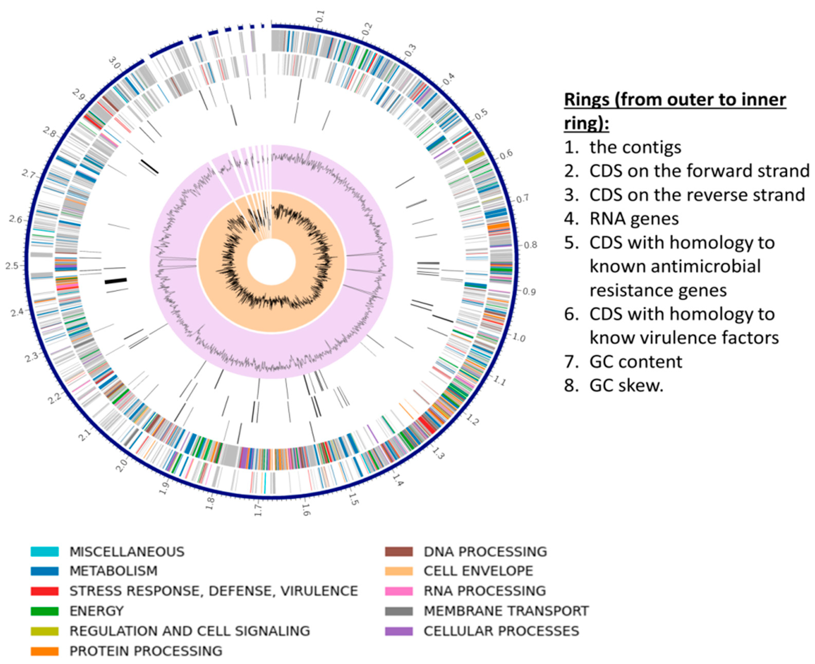 Microorganisms 13 01866 g004
