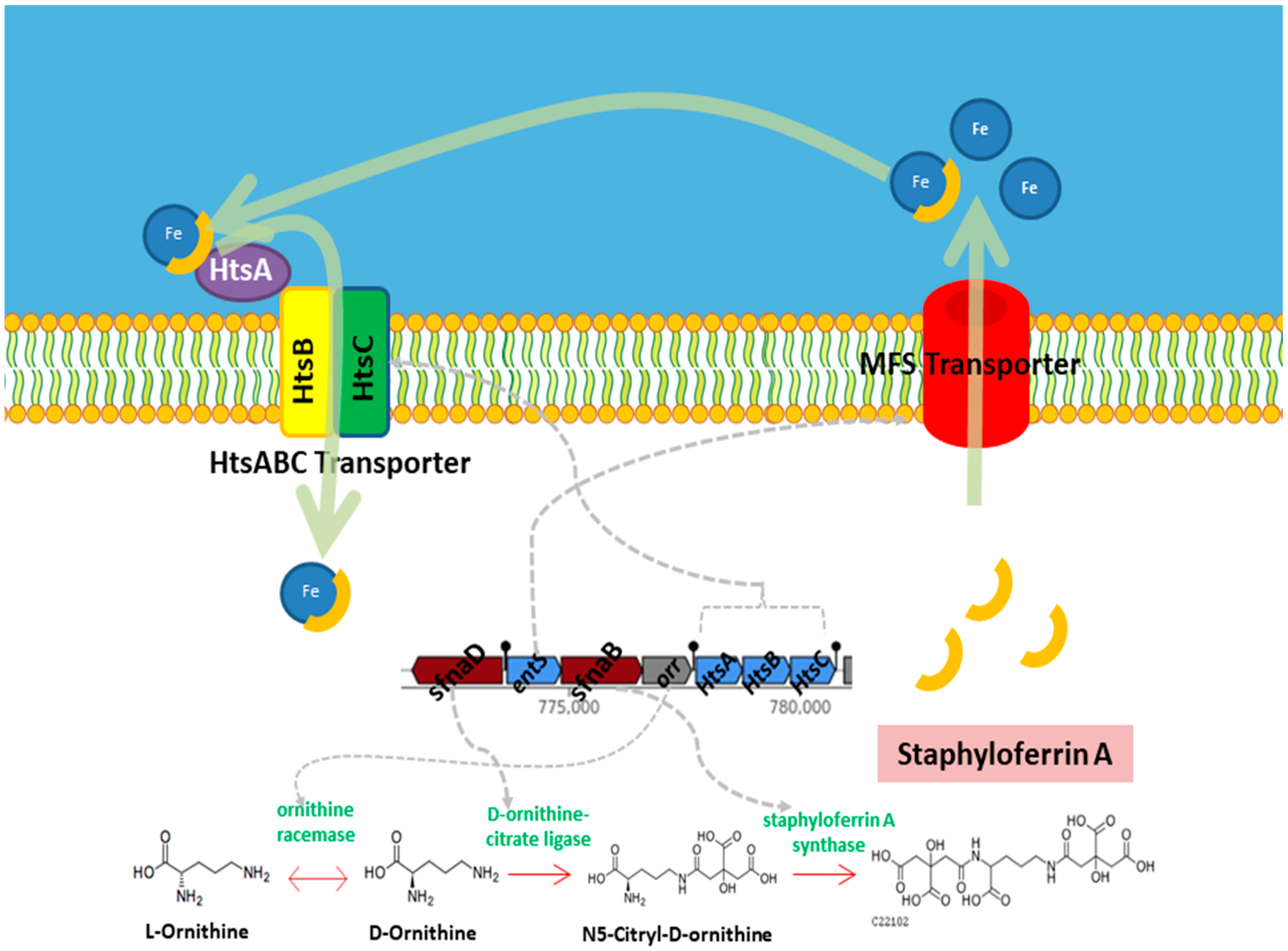 Microorganisms 13 01866 g007