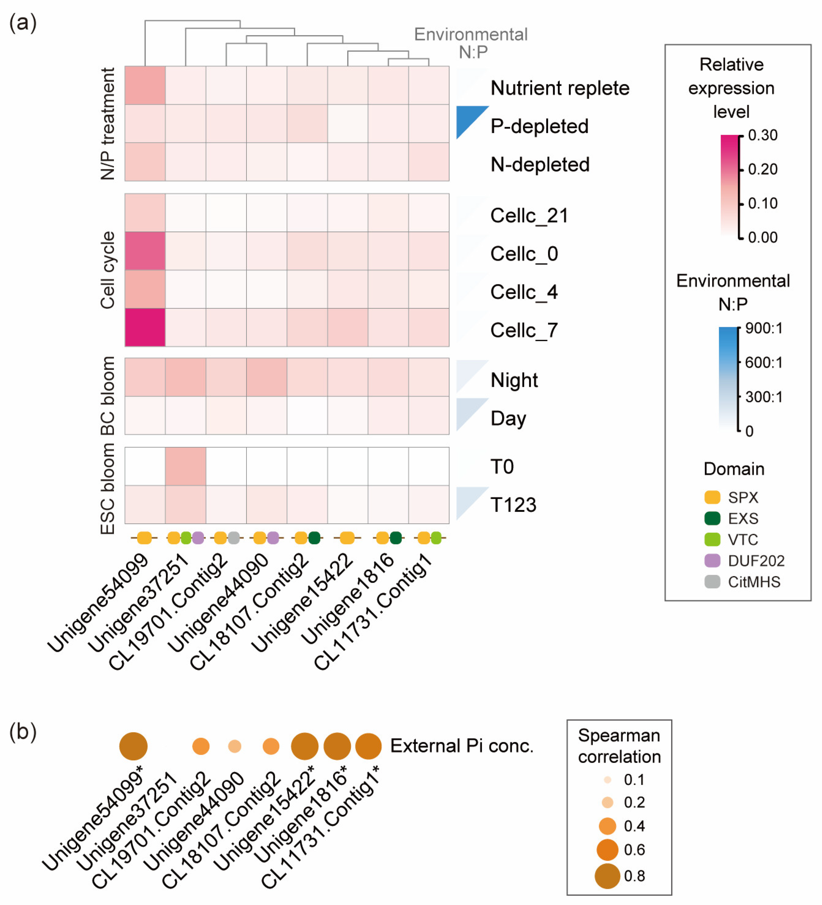 Microorganisms 13 01867 g003