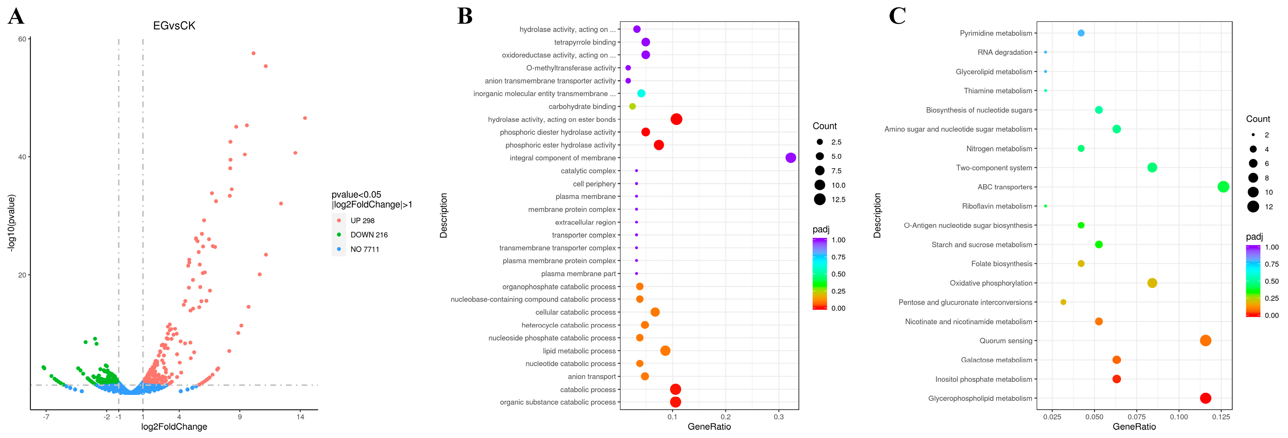 Microorganisms 13 01868 g004