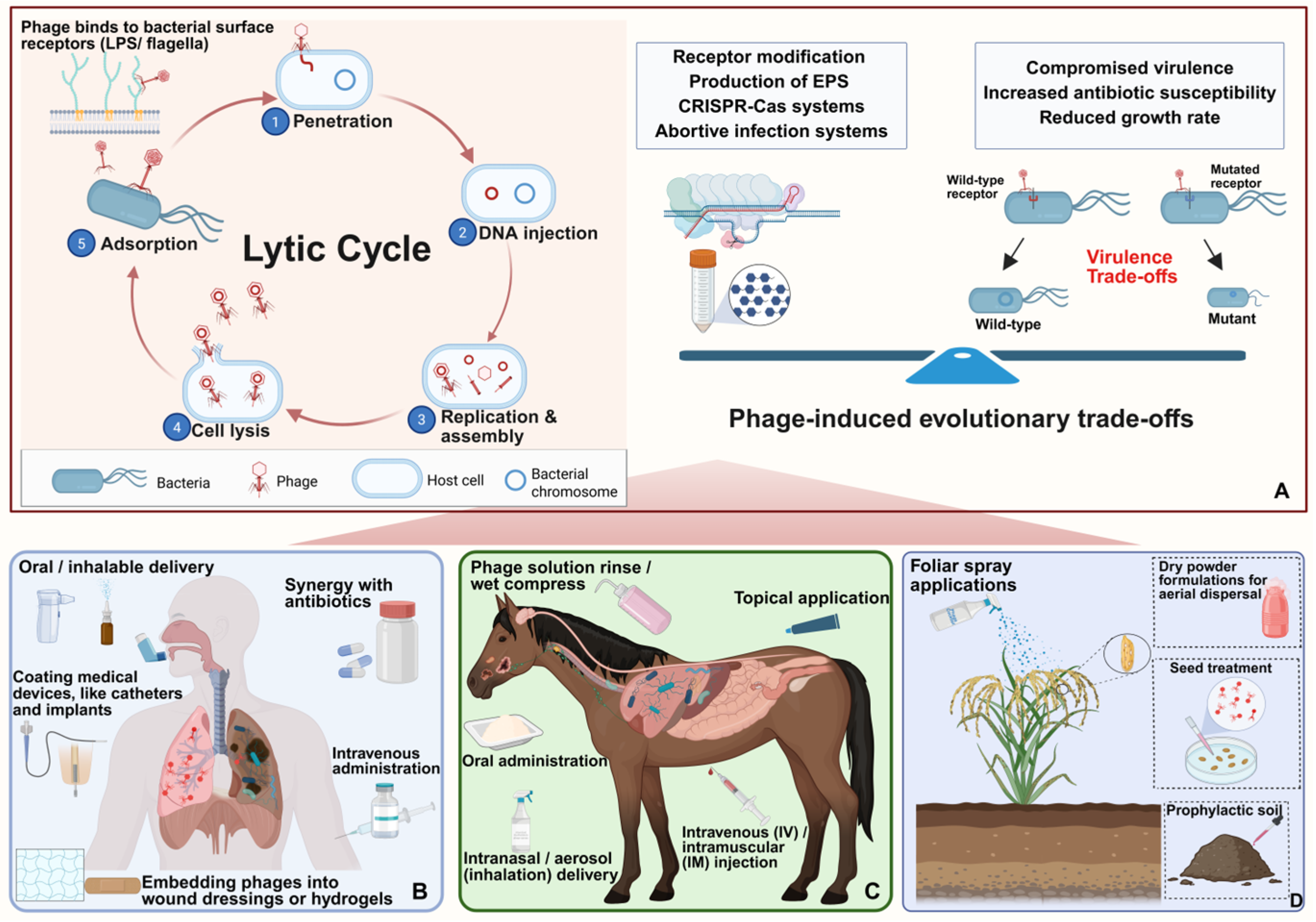 Microorganisms 13 01873 g002 Microorganisms 13 01873 g002