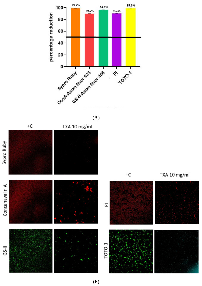 Microorganisms 13 01874 g001