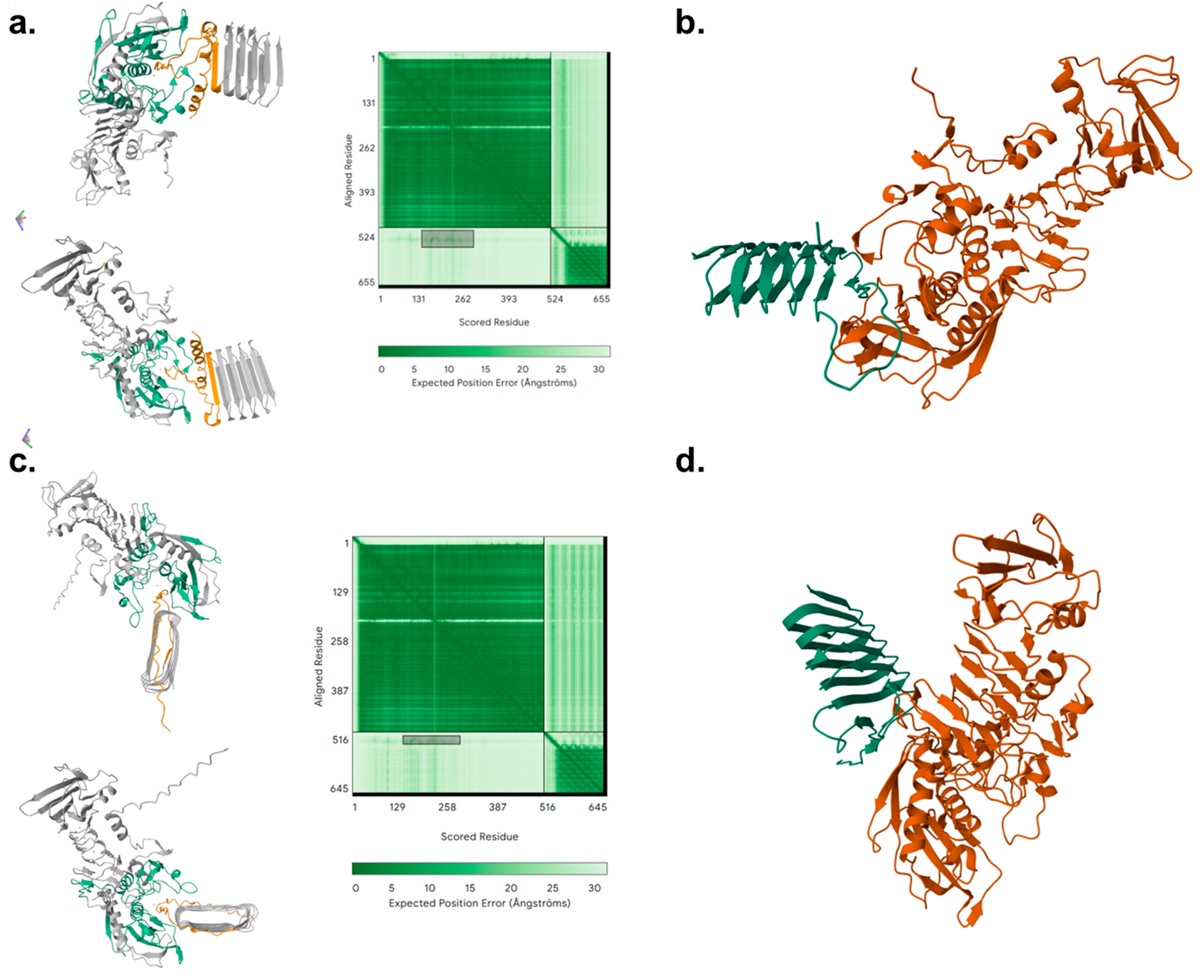 Microorganisms 13 01875 g007 Microorganisms 13 01875 g007