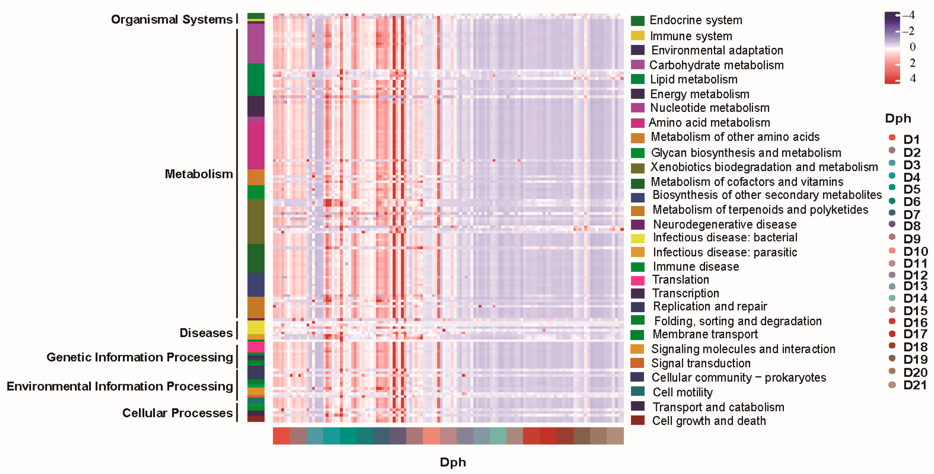 Microorganisms 13 01881 g004 Microorganisms 13 01881 g004