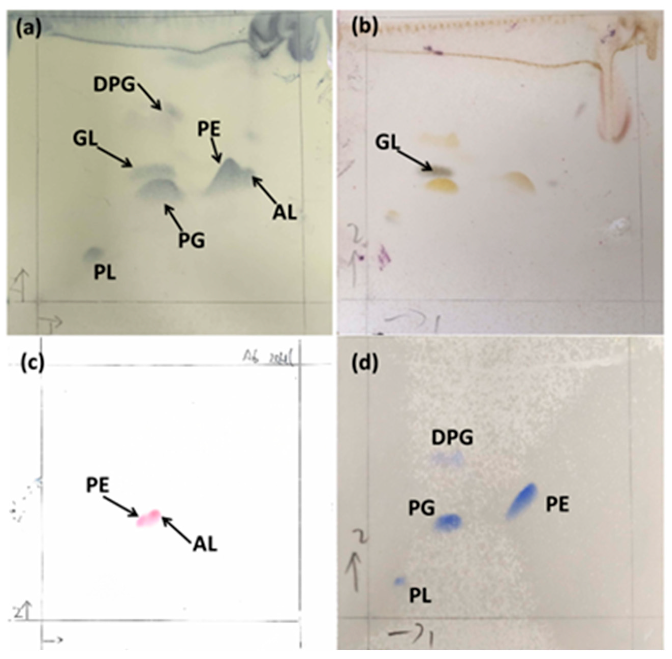 Microorganisms 13 01888 g005