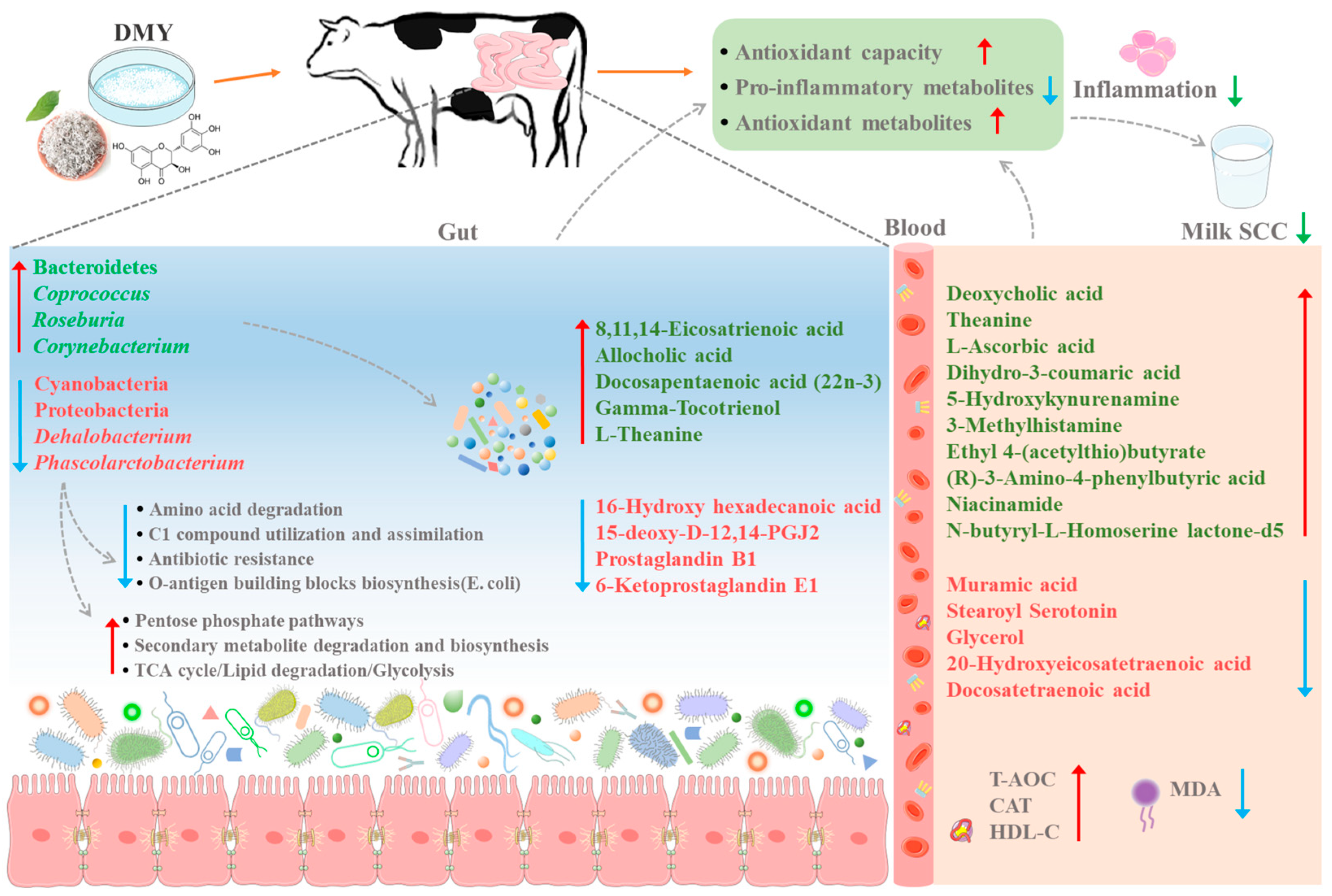 Microorganisms 13 01890 g009 Microorganisms 13 01890 g009