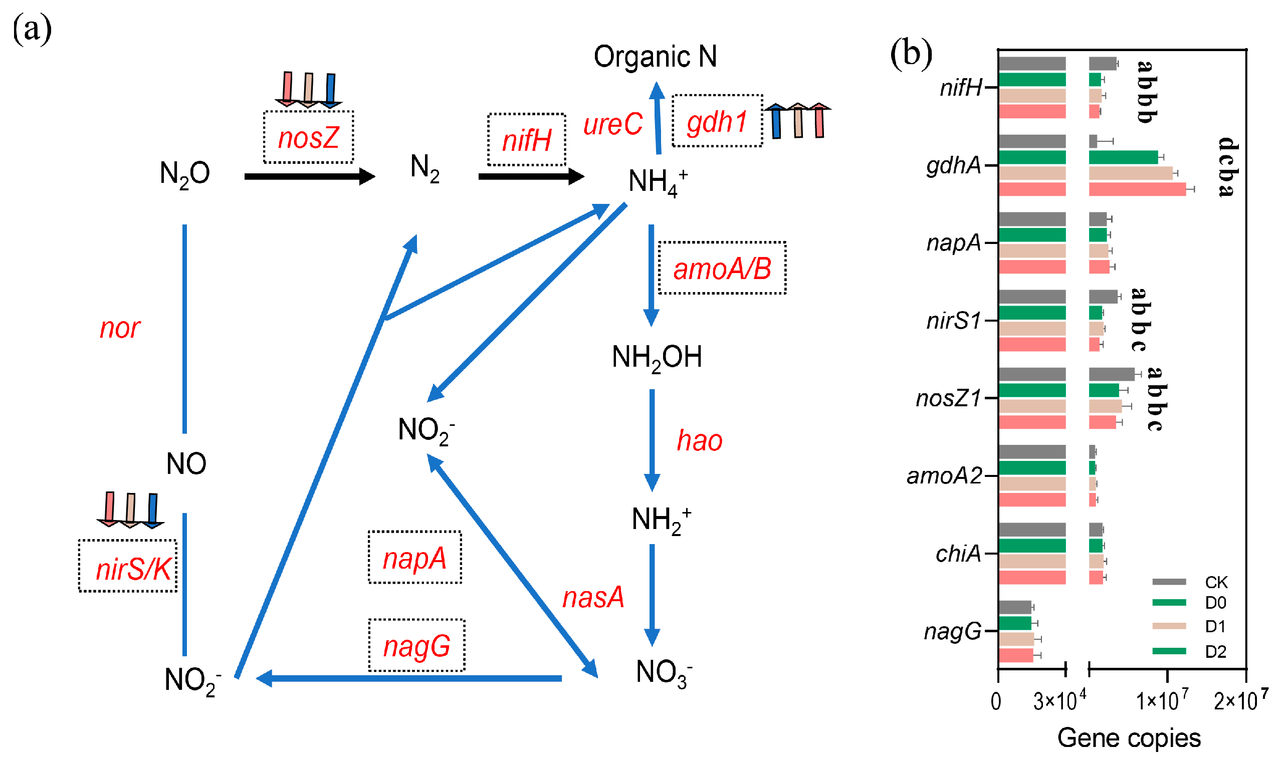 Microorganisms 13 01897 g006 Microorganisms 13 01897 g006