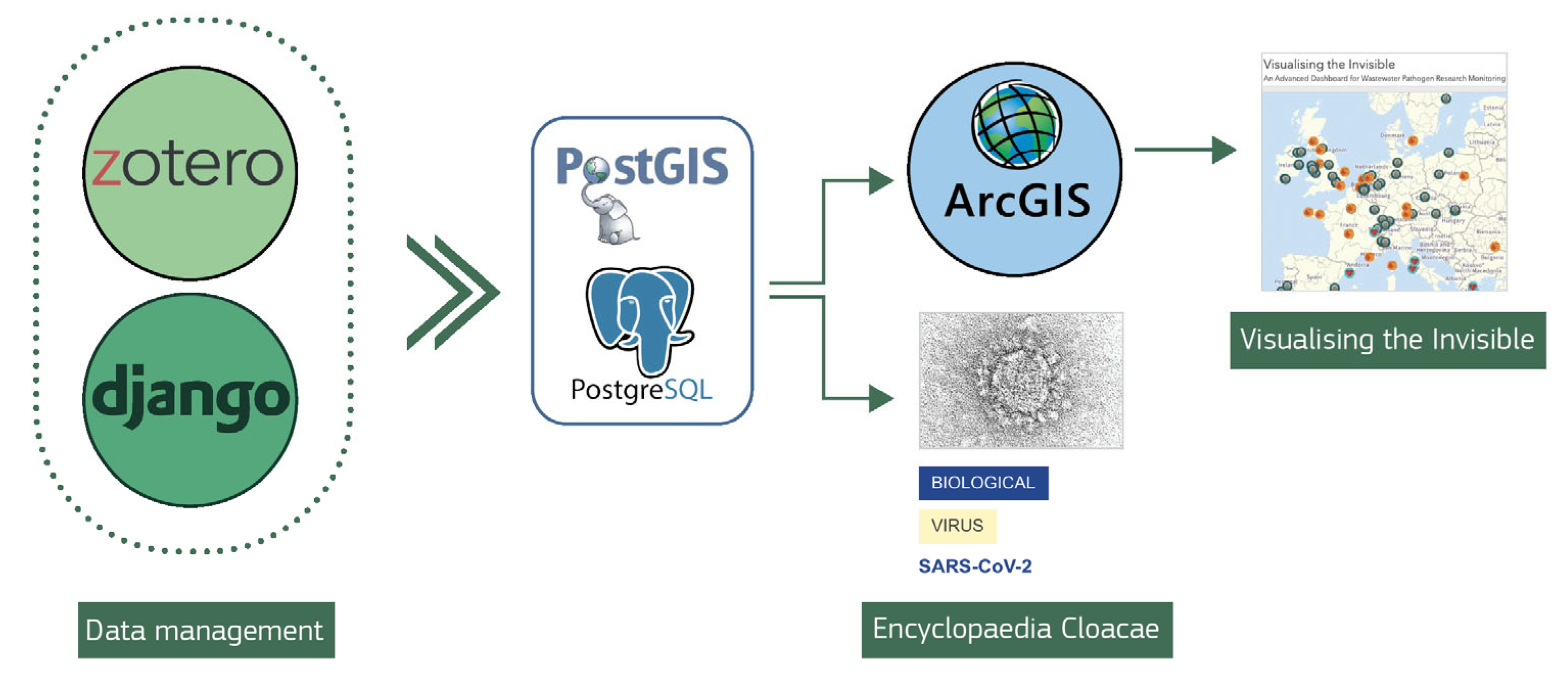 Microorganisms 13 01900 g001 Microorganisms 13 01900 g001