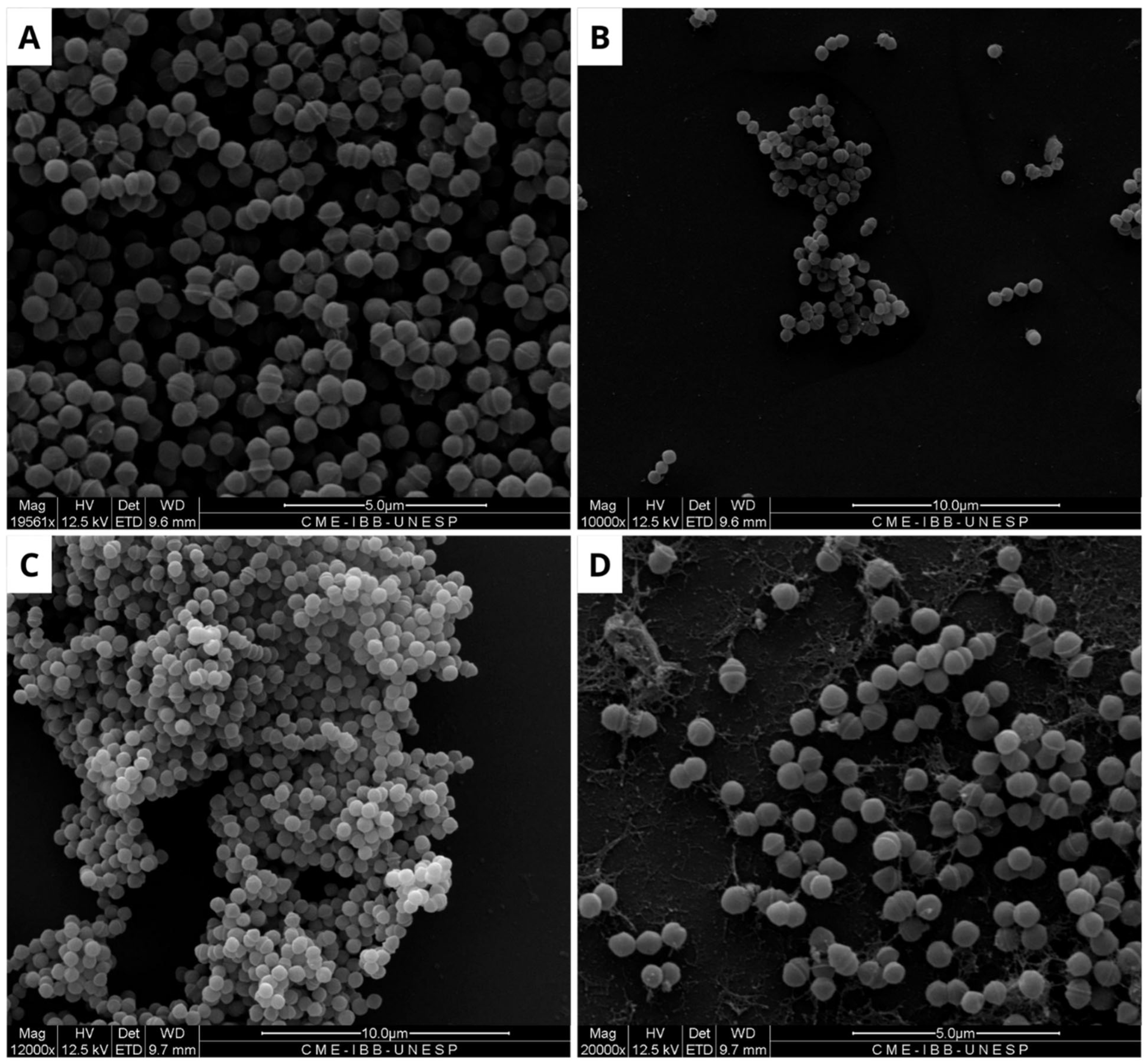Microorganisms 13 01901 g005 Microorganisms 13 01901 g005