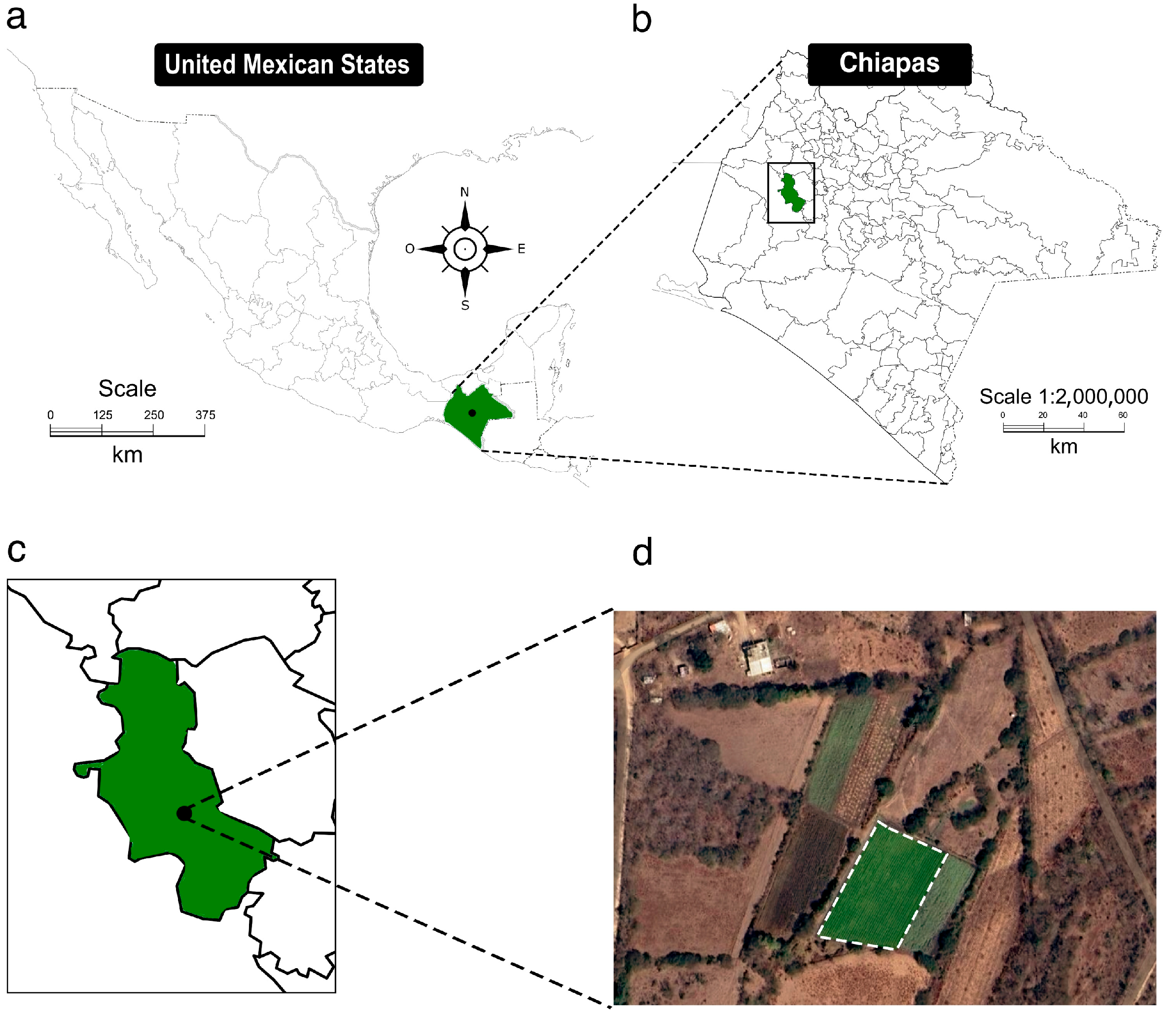 Microorganisms 13 01904 g001