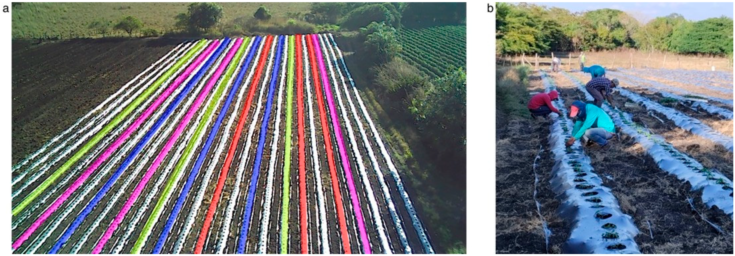 Microorganisms 13 01904 g003