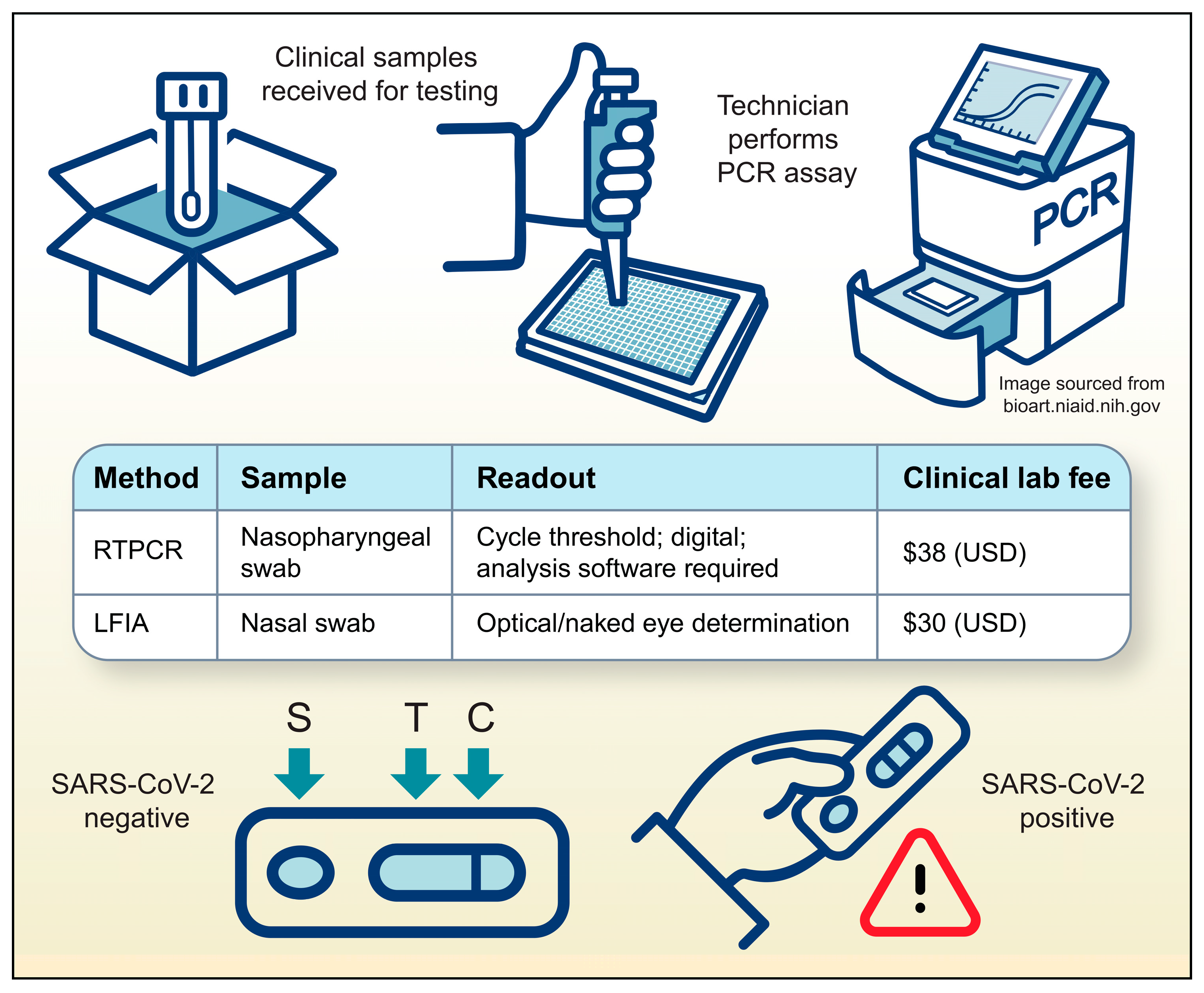Microorganisms 13 01905 g003 Microorganisms 13 01905 g003