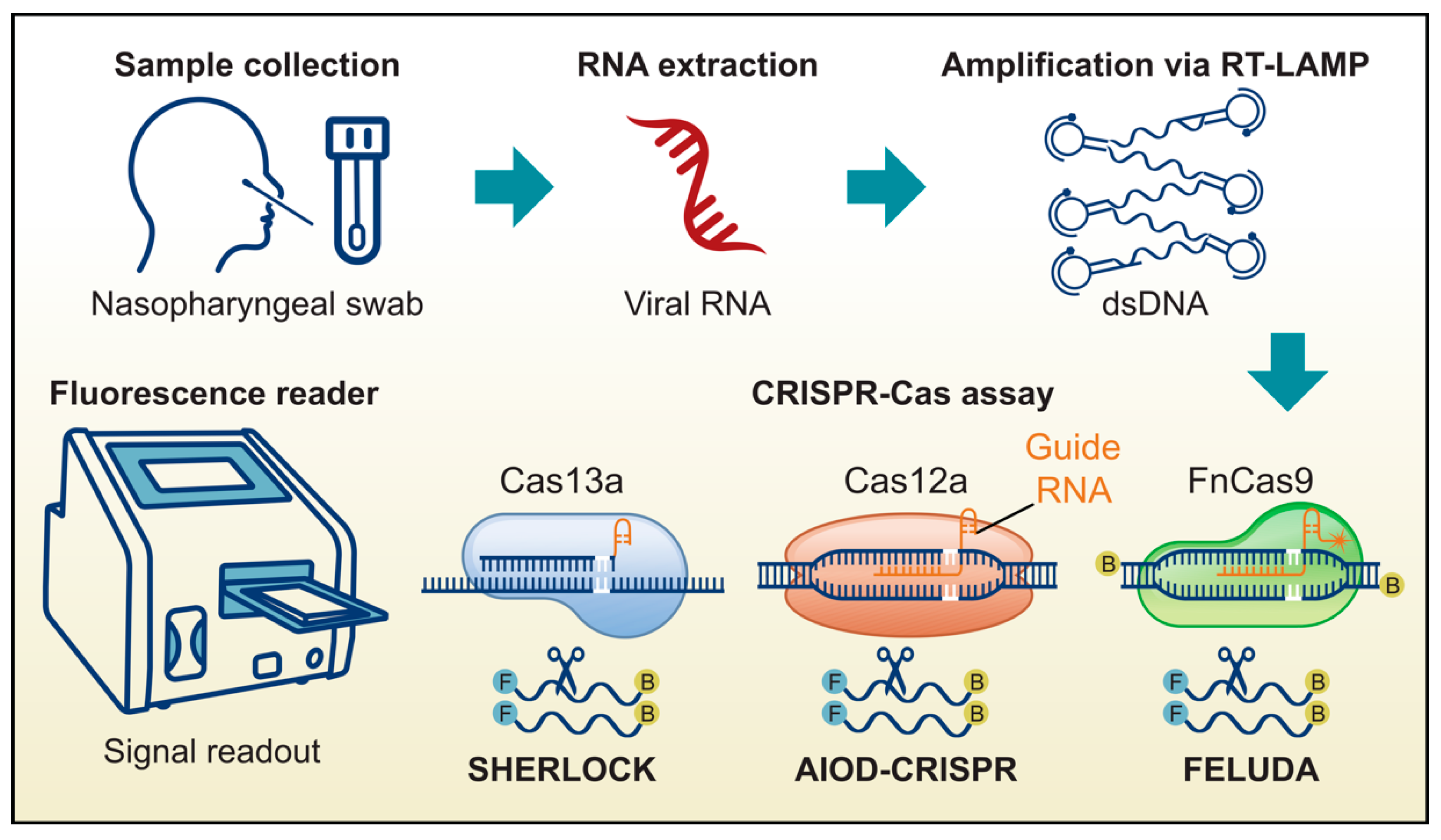 Microorganisms 13 01905 g004 Microorganisms 13 01905 g004