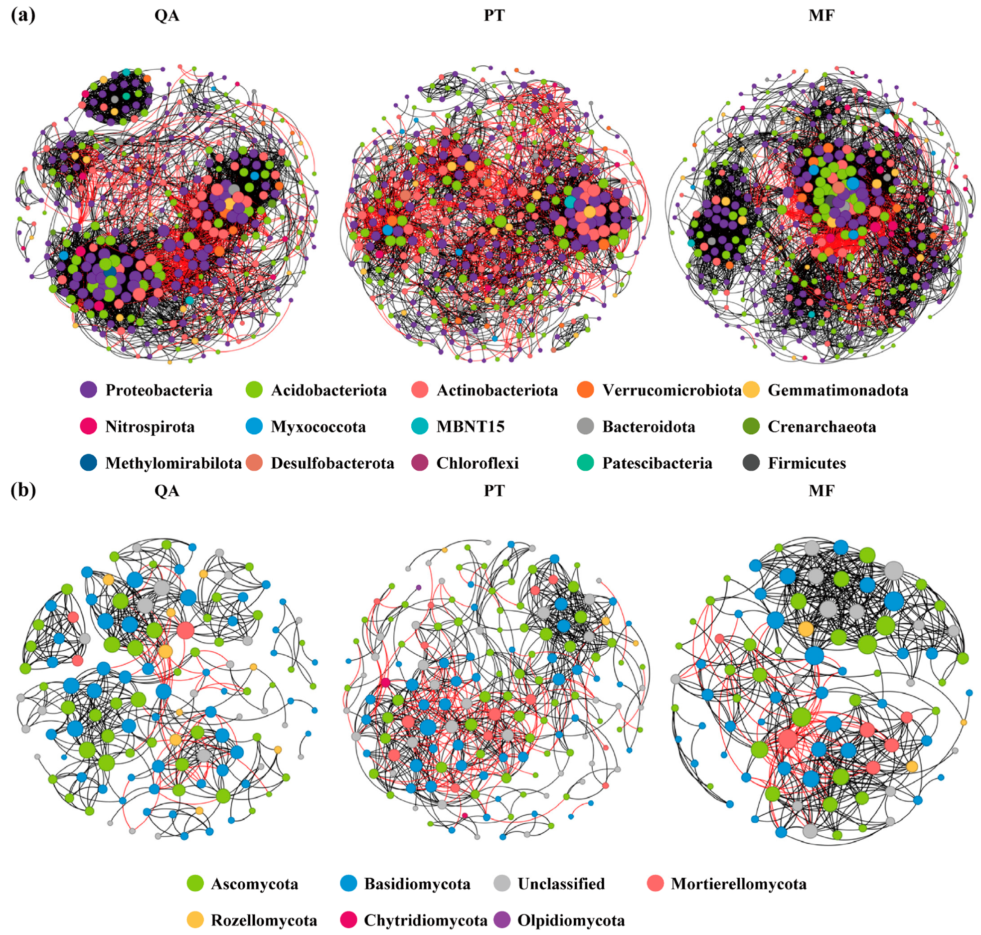 Microorganisms 13 01906 g005 Microorganisms 13 01906 g005