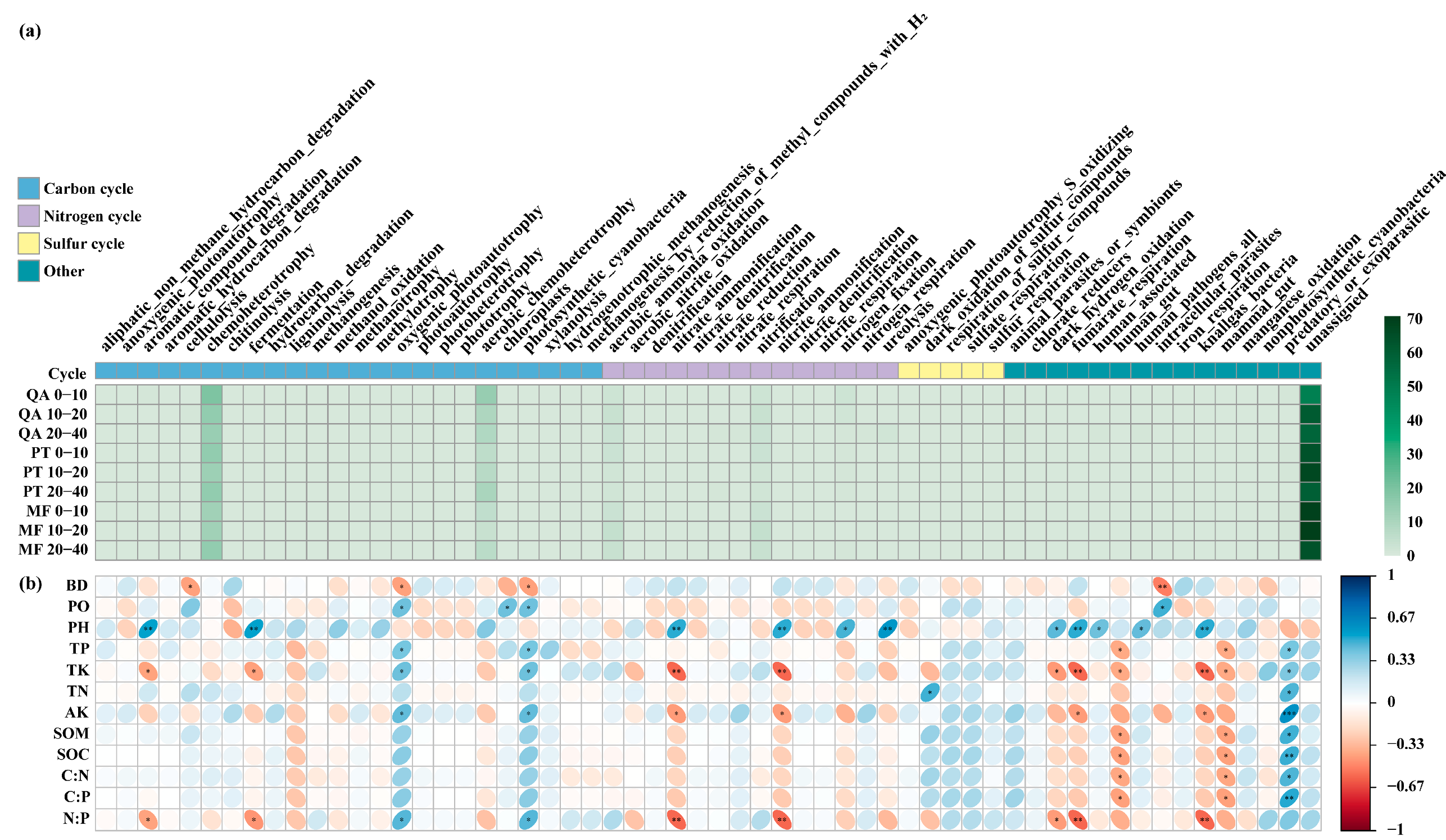 Microorganisms 13 01906 g006 Microorganisms 13 01906 g006