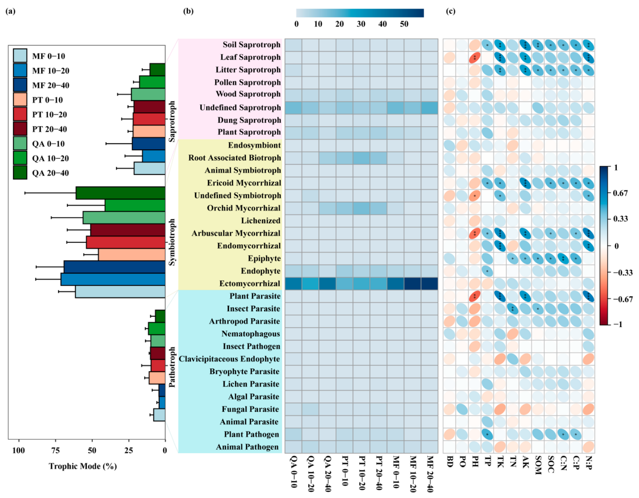 Microorganisms 13 01906 g007 Microorganisms 13 01906 g007