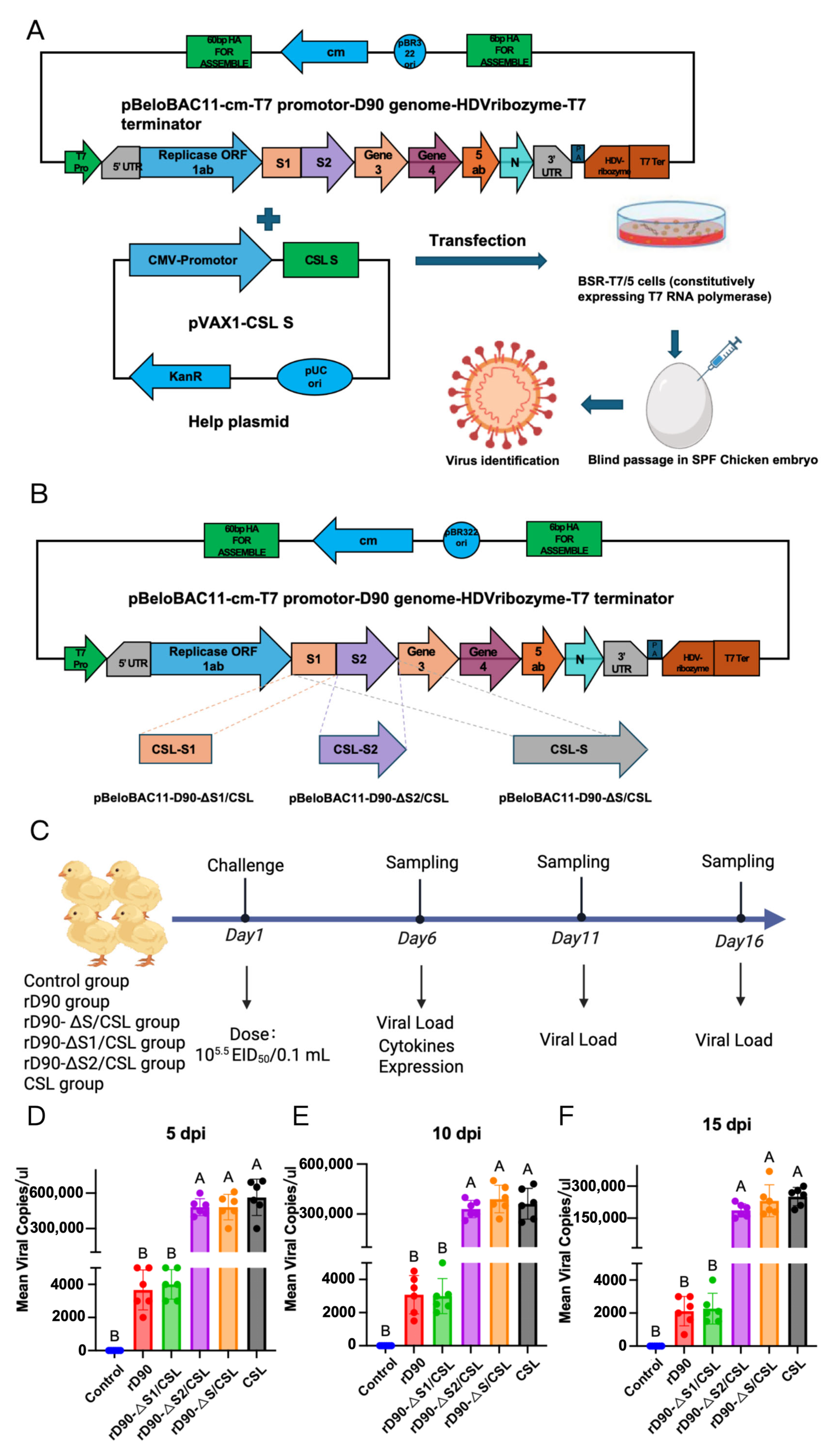 Microorganisms 13 01918 g003 Microorganisms 13 01918 g003