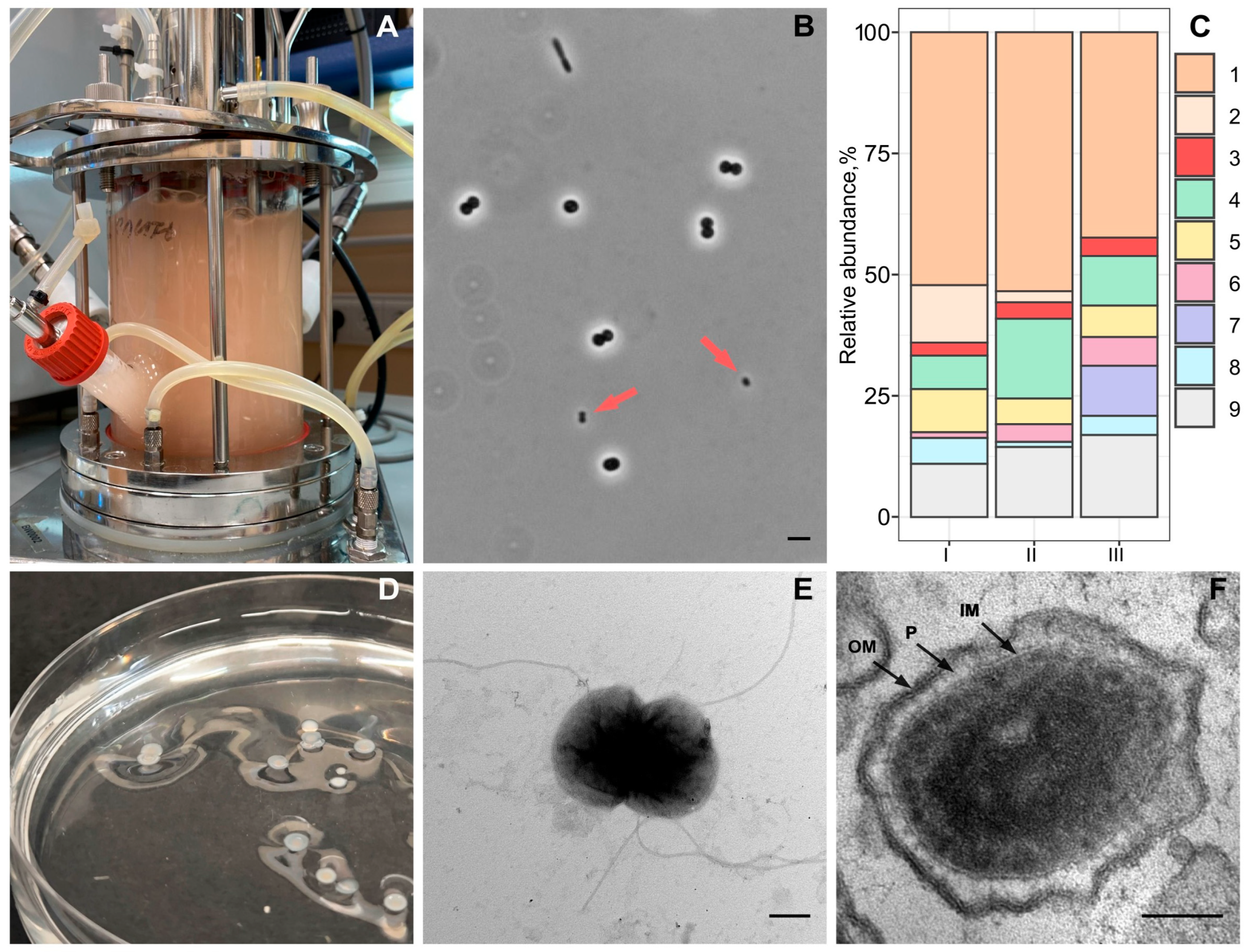 Microorganisms 13 01922 g001 Microorganisms 13 01922 g001