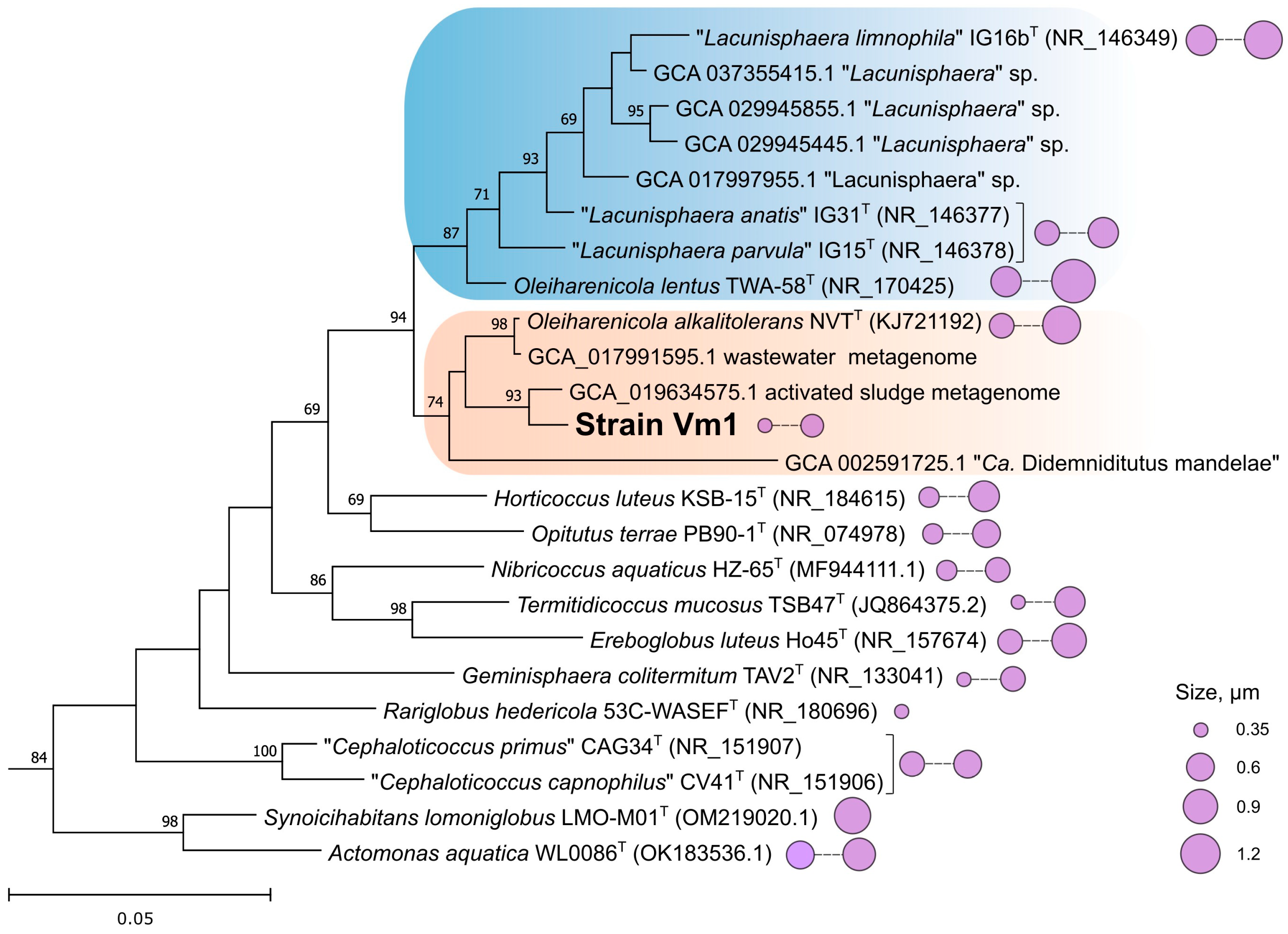 Microorganisms 13 01922 g002 Microorganisms 13 01922 g002