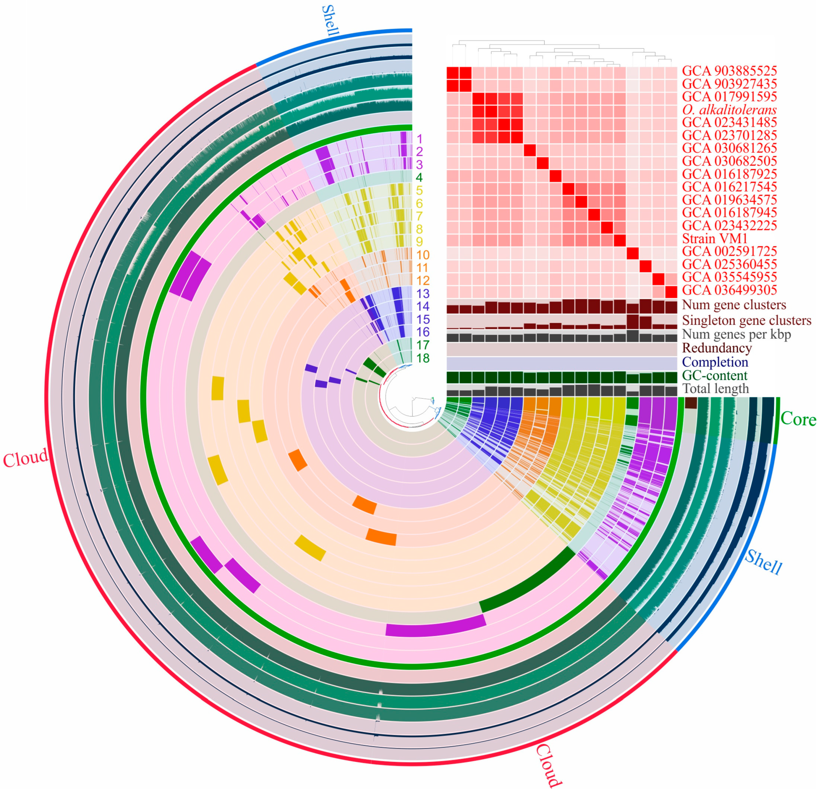 Microorganisms 13 01922 g004 Microorganisms 13 01922 g004
