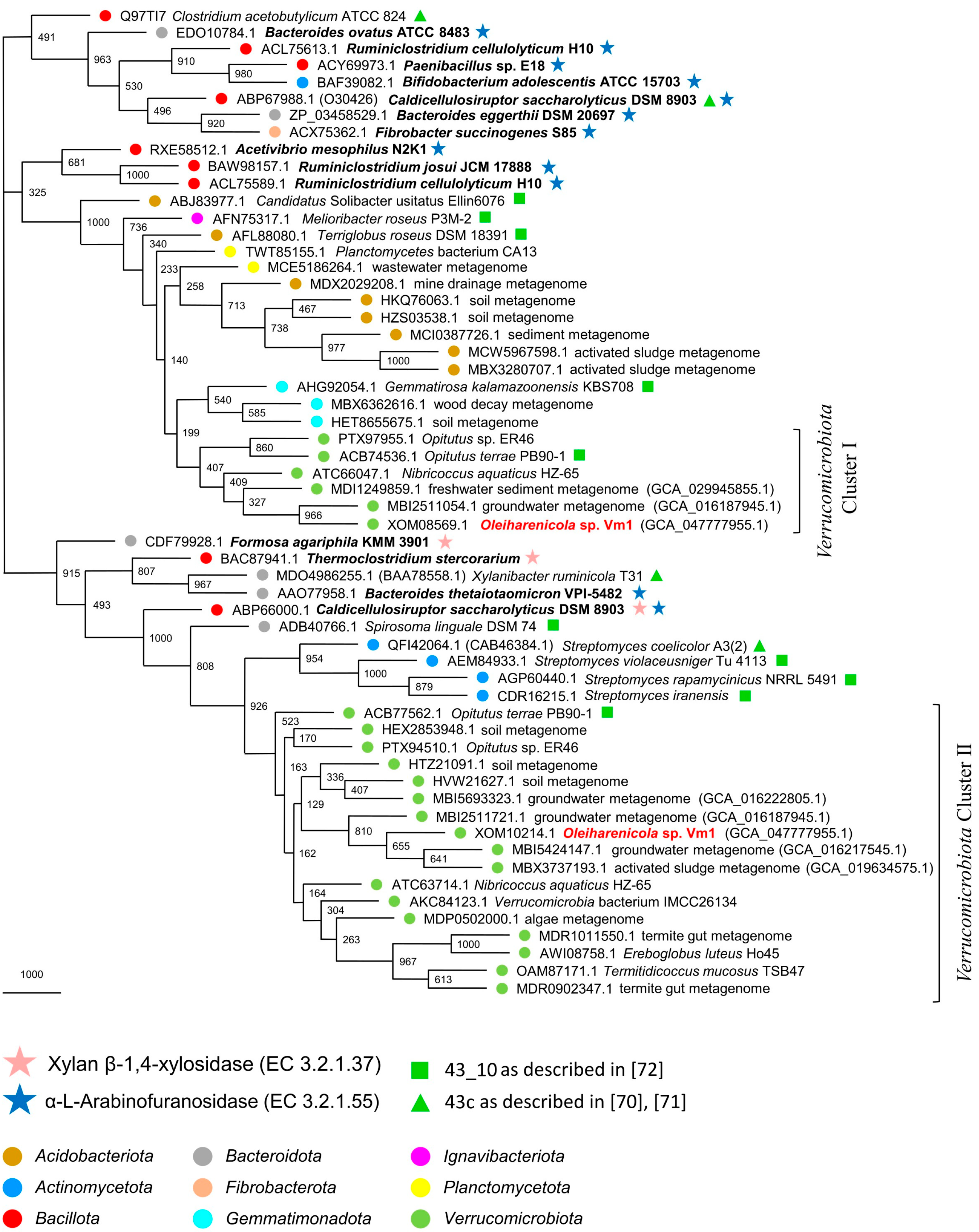Microorganisms 13 01922 g007 Microorganisms 13 01922 g007