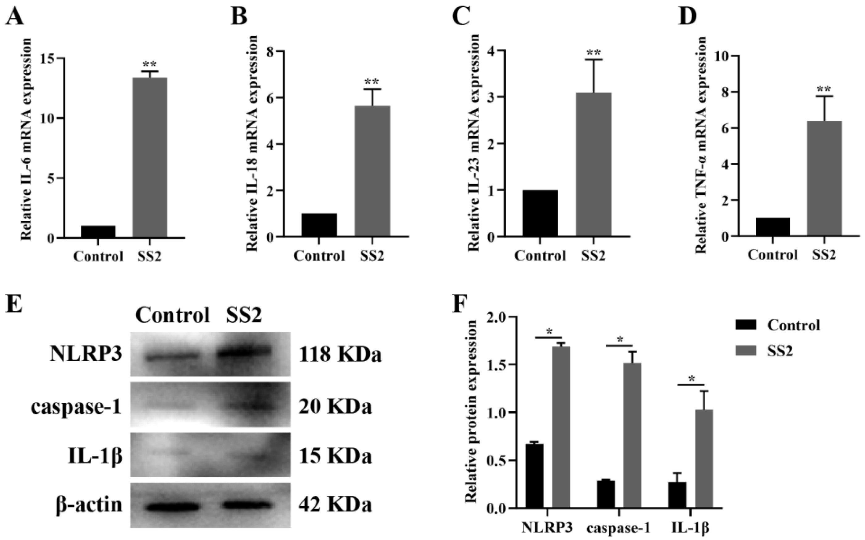 Microorganisms 13 01924 g001