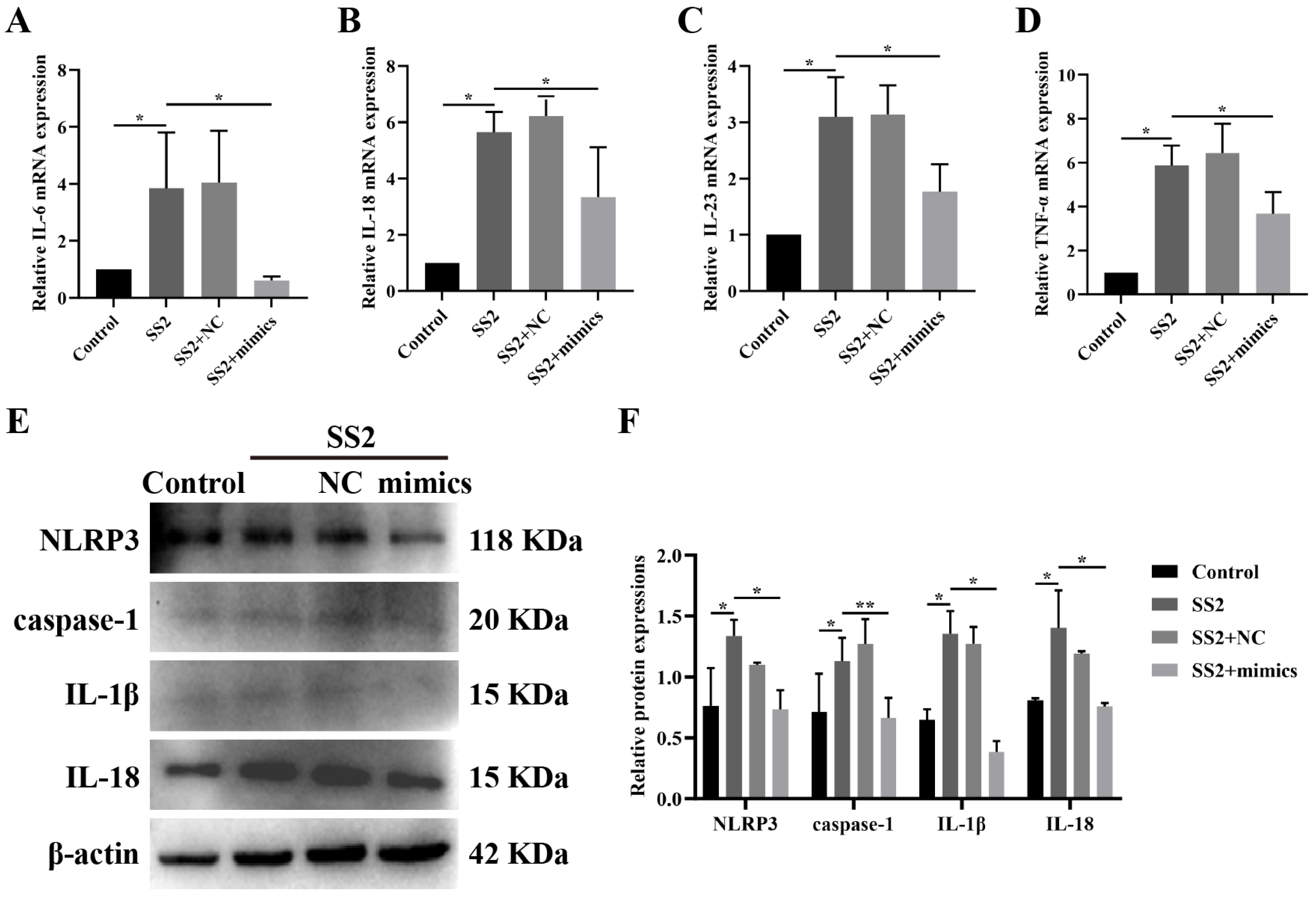 Microorganisms 13 01924 g004