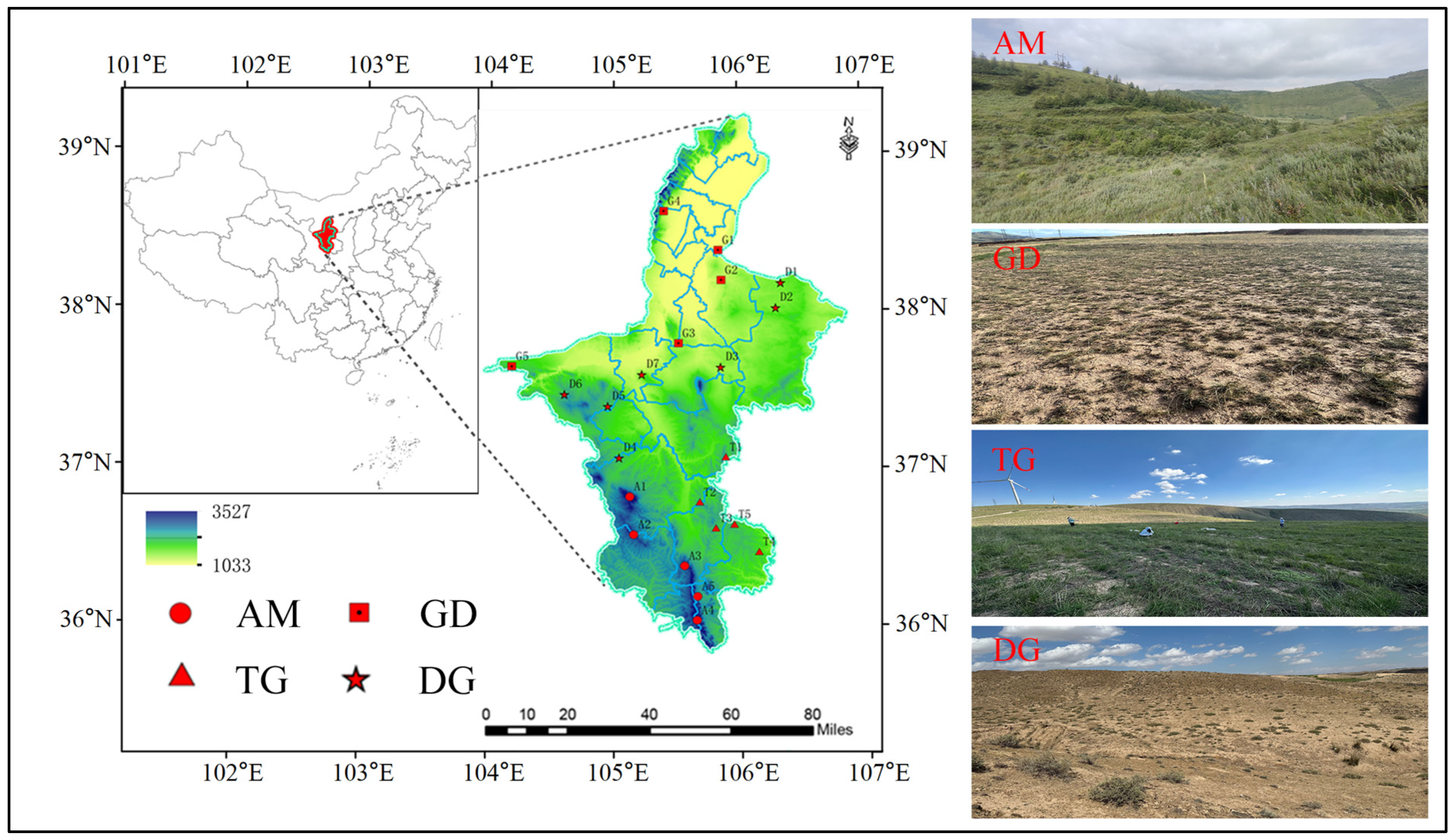 Microorganisms 13 01934 g001 Microorganisms 13 01934 g001