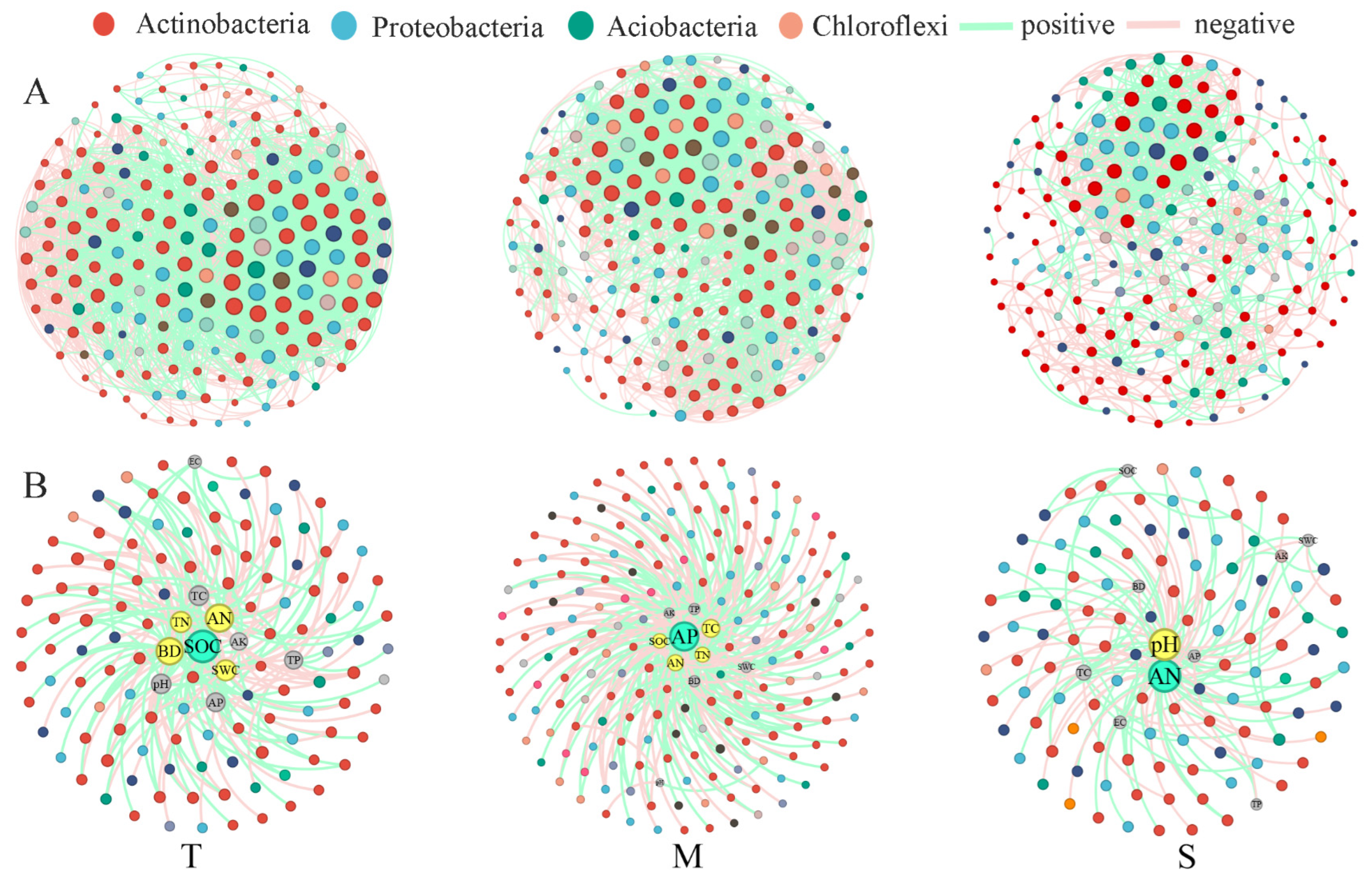 Microorganisms 13 01934 g005 Microorganisms 13 01934 g005