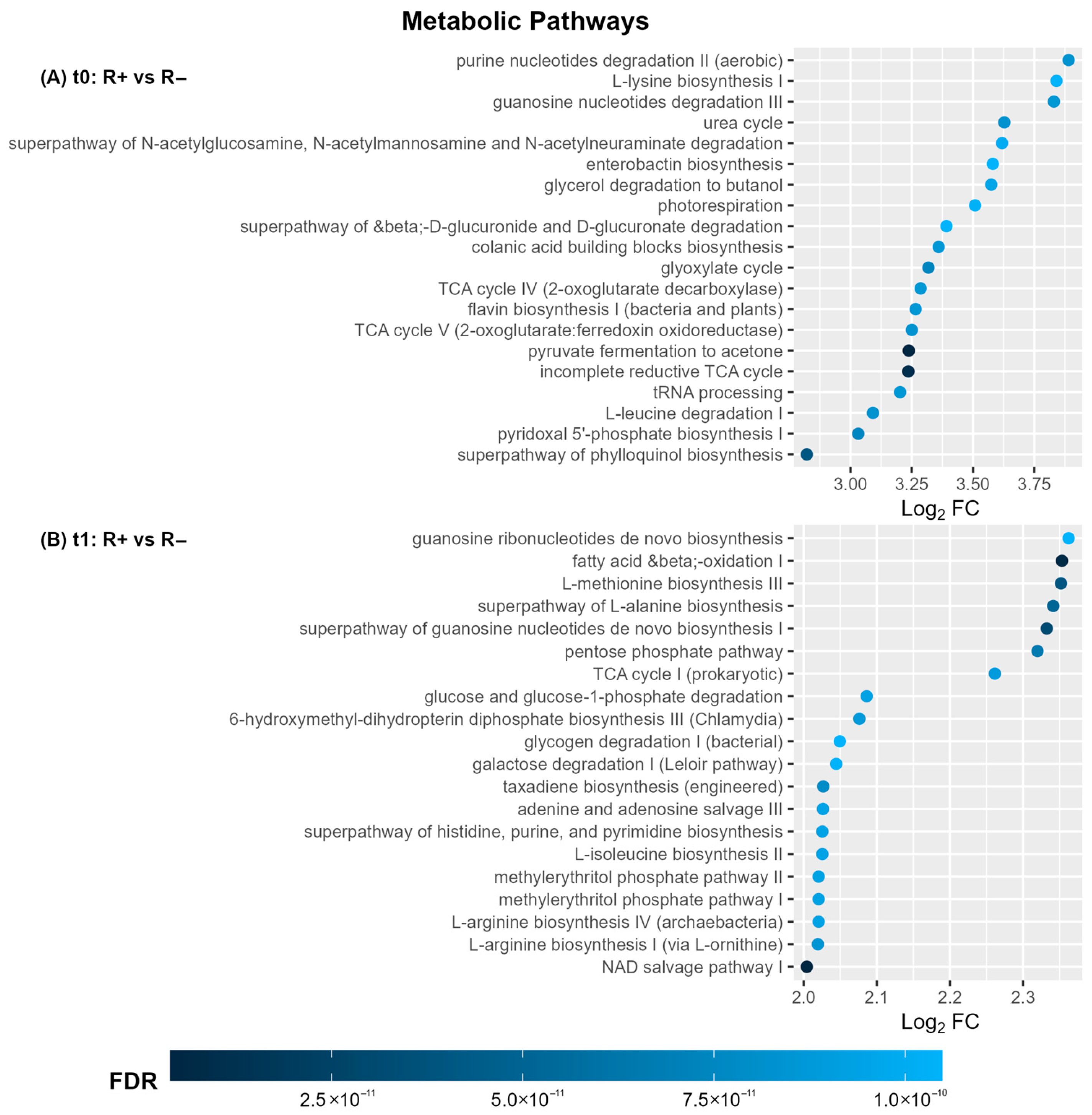 Microorganisms 13 01935 g005 Microorganisms 13 01935 g005