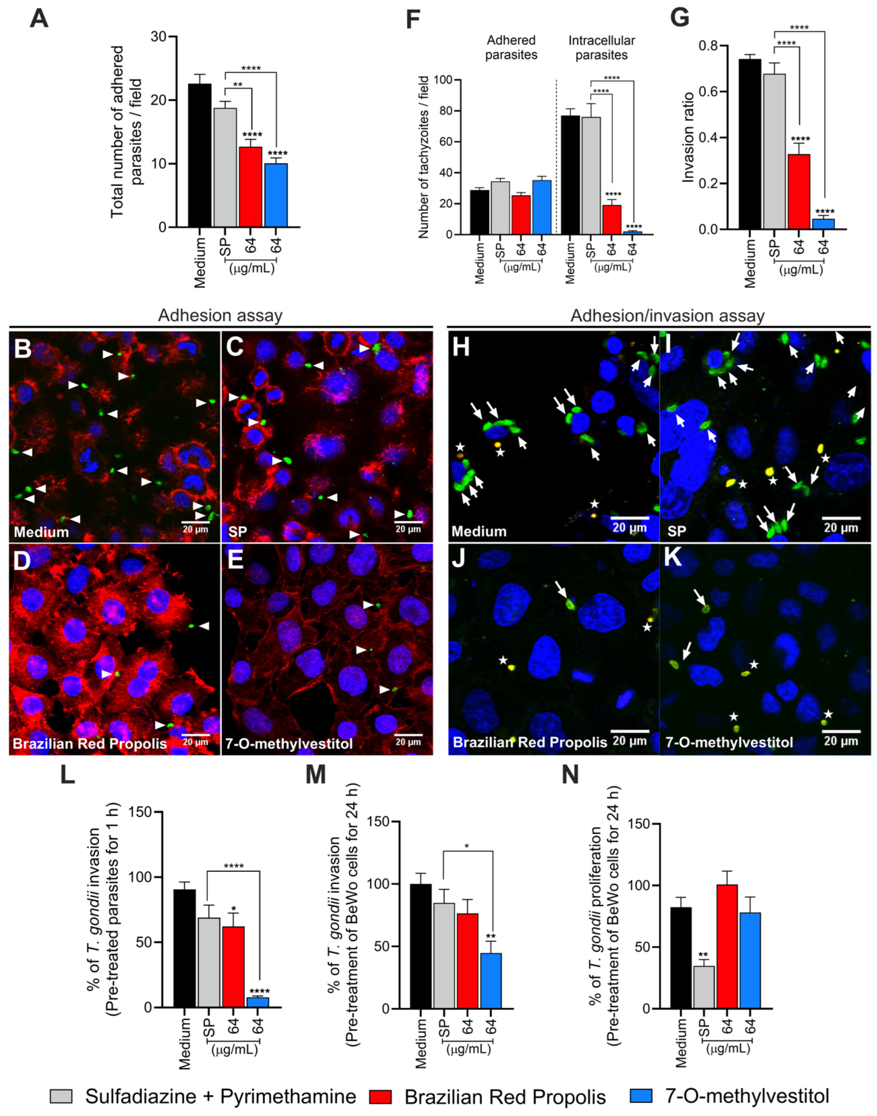 Microorganisms 13 01937 g003